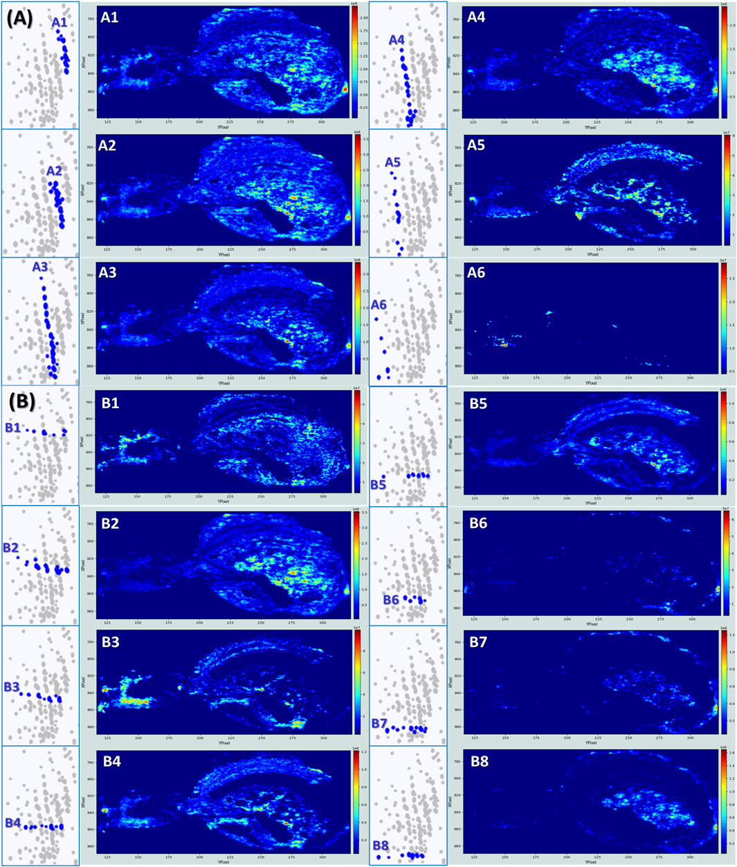 Composite image showing panels A1-A6 and B1-B8, each containing an intensity map and corresponding scatter plot. The maps display varying shades of blue, green, and yellow, indicating different data intensities, with a color scale bar on the side. Scatter plots consist of blue dots on a grey background, linking to the data in the corresponding intensity maps.