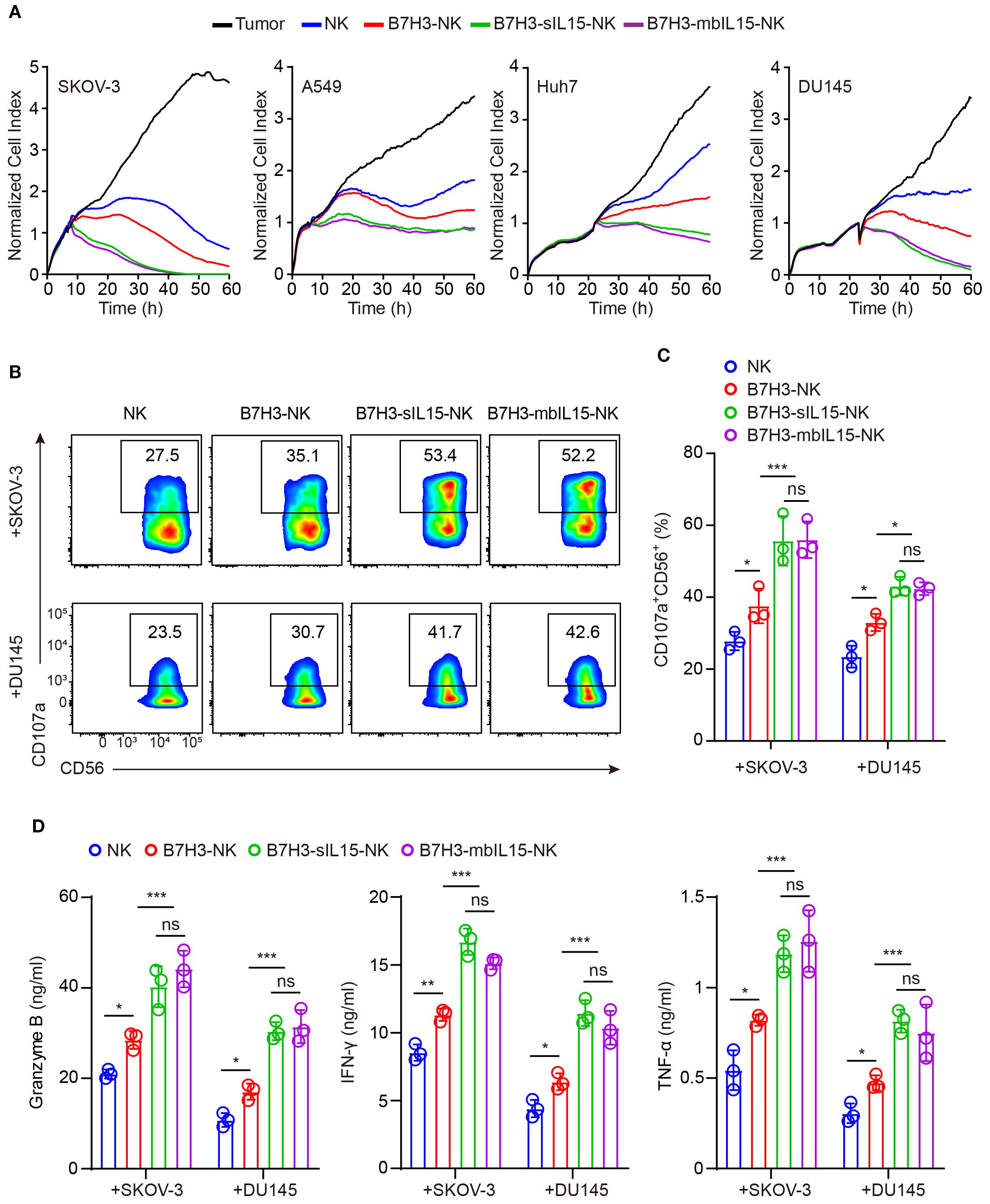 Graphs and charts analyzing the effects of different NK cell treatments on tumor cell lines. Panel A shows cell index over time for SKOV-3, A549, Huh7, and DU145 with various treatments. Panel B displays flow cytometry plots for SKOV-3 and DU145. Panel C includes bar graphs of CD107a⁺CD56⁺ expression. Panel D presents levels of Granzyme B, IFN-γ, and TNF-α for SKOV-3 and DU145. Statistical significance is indicated by asterisks.
