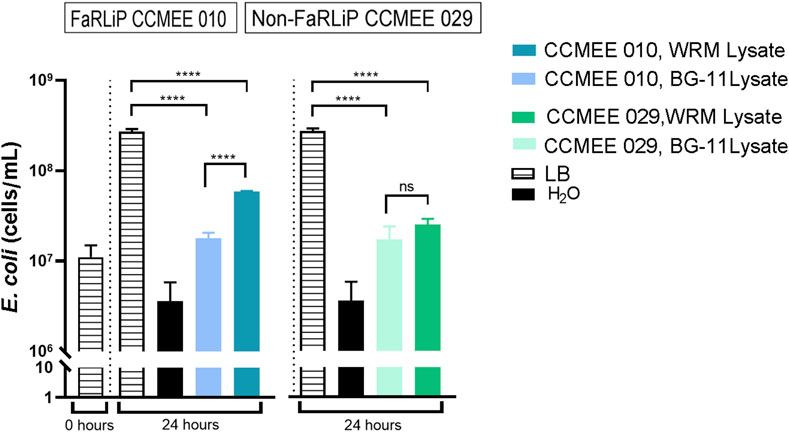 Bar graph comparing the growth of *E. coli* in different lysates over 24 hours. FaRLiP CCMEE 010 shows significant growth compared to non-FaRLiP CCMEE 029. Lysates and controls, such as LB and H₂O, are represented with different colors and patterns. Statistical significance is indicated by asterisks.