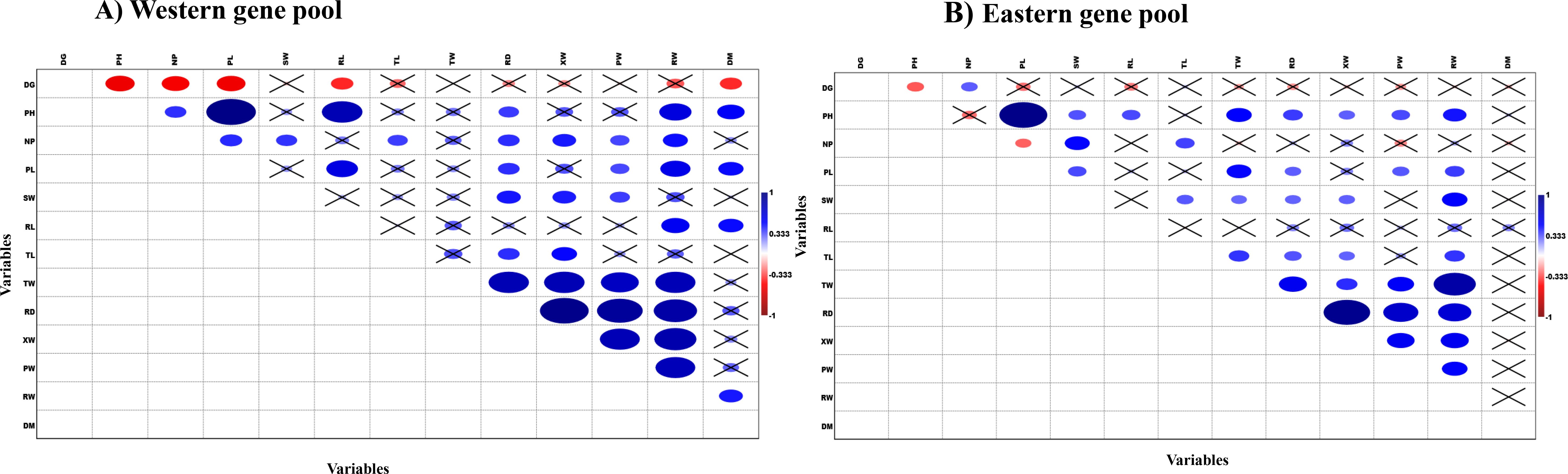 Two correlation matrices, labeled A and B, display color-coded circles representing correlation strengths between pairs of variables. Red indicates negative correlations and blue indicates positive correlations. The size of the circles corresponds to the magnitude of the correlation. A color scale on the right provides reference values ranging from negative one to positive one.