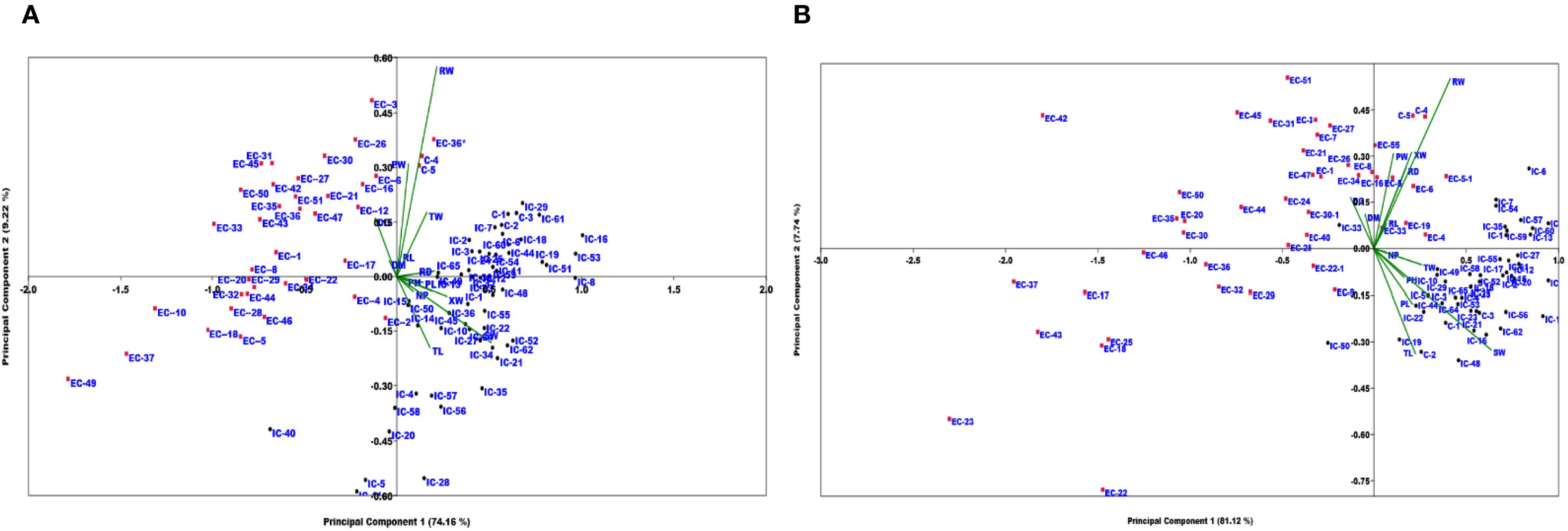 Two scatter plots display principal component analysis (PCA) results. Panel A shows data points labeled EC and IC, with axes labeled Principal Component 1 (74.16%) and Principal Component 2 (9.22%). Panel B shows similarly labeled data points with axes labeled Principal Component 1 (81.12%) and Principal Component 2 (7.74%). Green vectors indicate variable contributions.