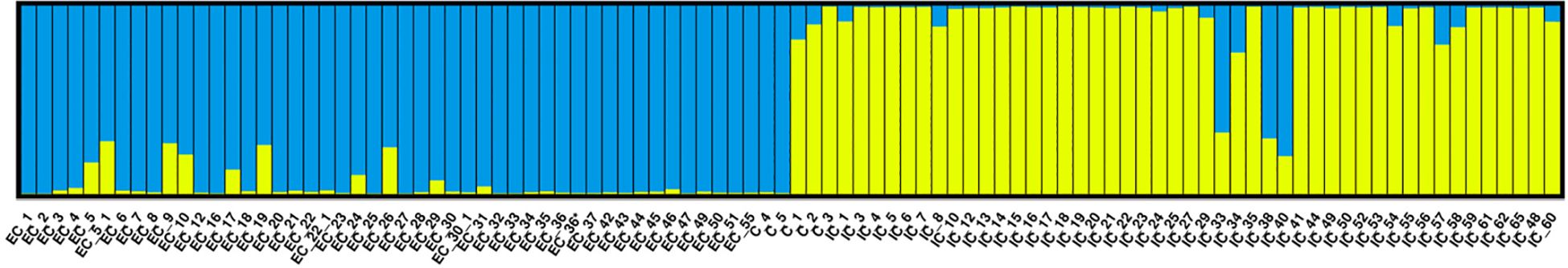 Bar graph showing 60 columns labeled “EC 1” to “IC60” on the x-axis. First 31 columns are blue with varying yellow segments; remaining are yellow with some blue sections.