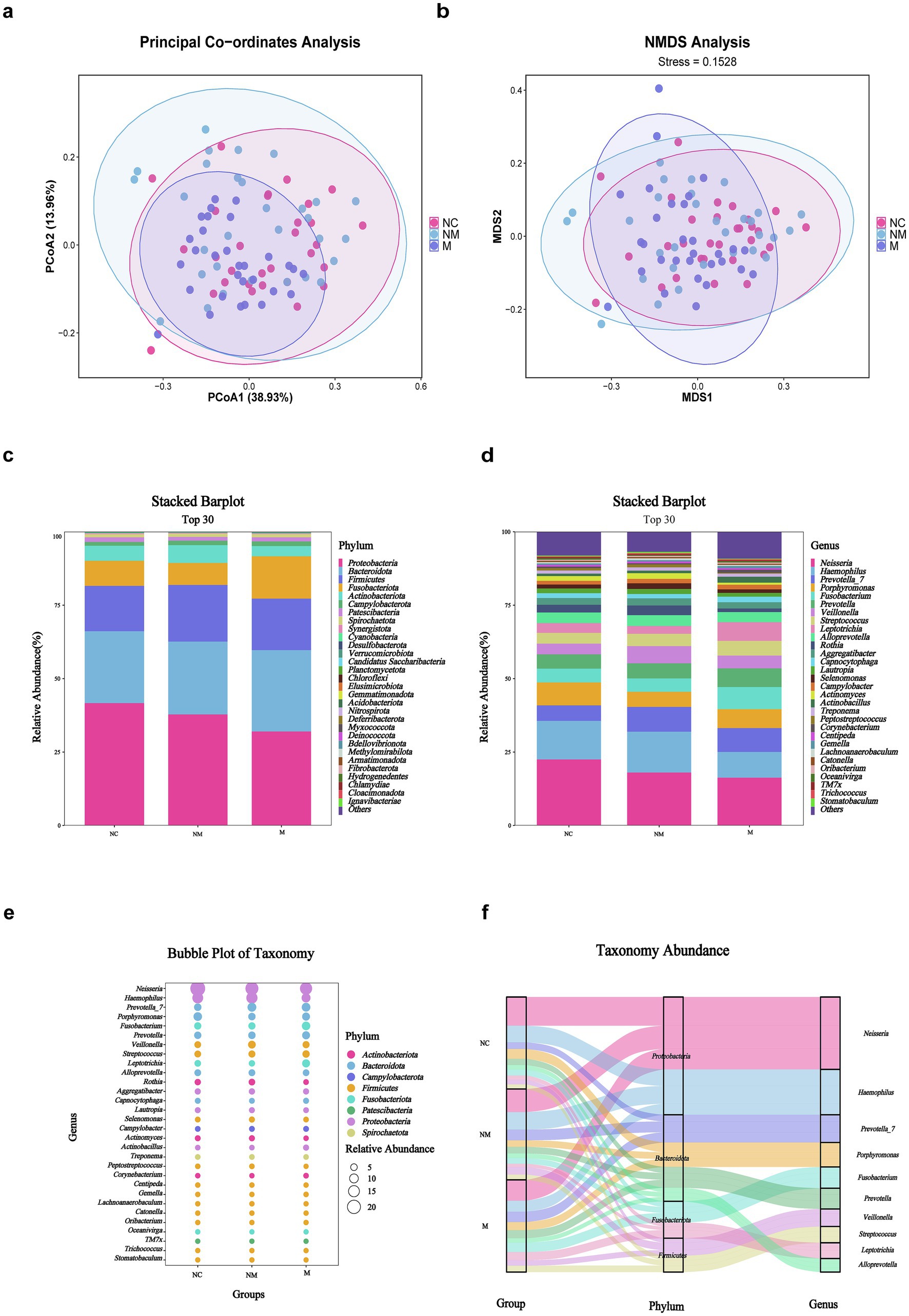 Six-panel figure showing microbiome data analysis. Panel a: Principal Coordinates Analysis (PCoA) plot with points representing samples, grouped into three categories (NC, NM, M) with overlapping ellipses. Panel b: Non-metric Multidimensional Scaling (NMDS) plot similar to PCoA. Panel c: Stacked bar plot of relative phylum abundances across groups. Panel d: Stacked bar plot of relative genus abundances across groups. Panel e: Bubble plot depicting genus abundances by group with bubble size indicating relative abundance, colored by phylum. Panel f: Sankey diagram visualizing taxonomy abundance from group to phylum to genus.