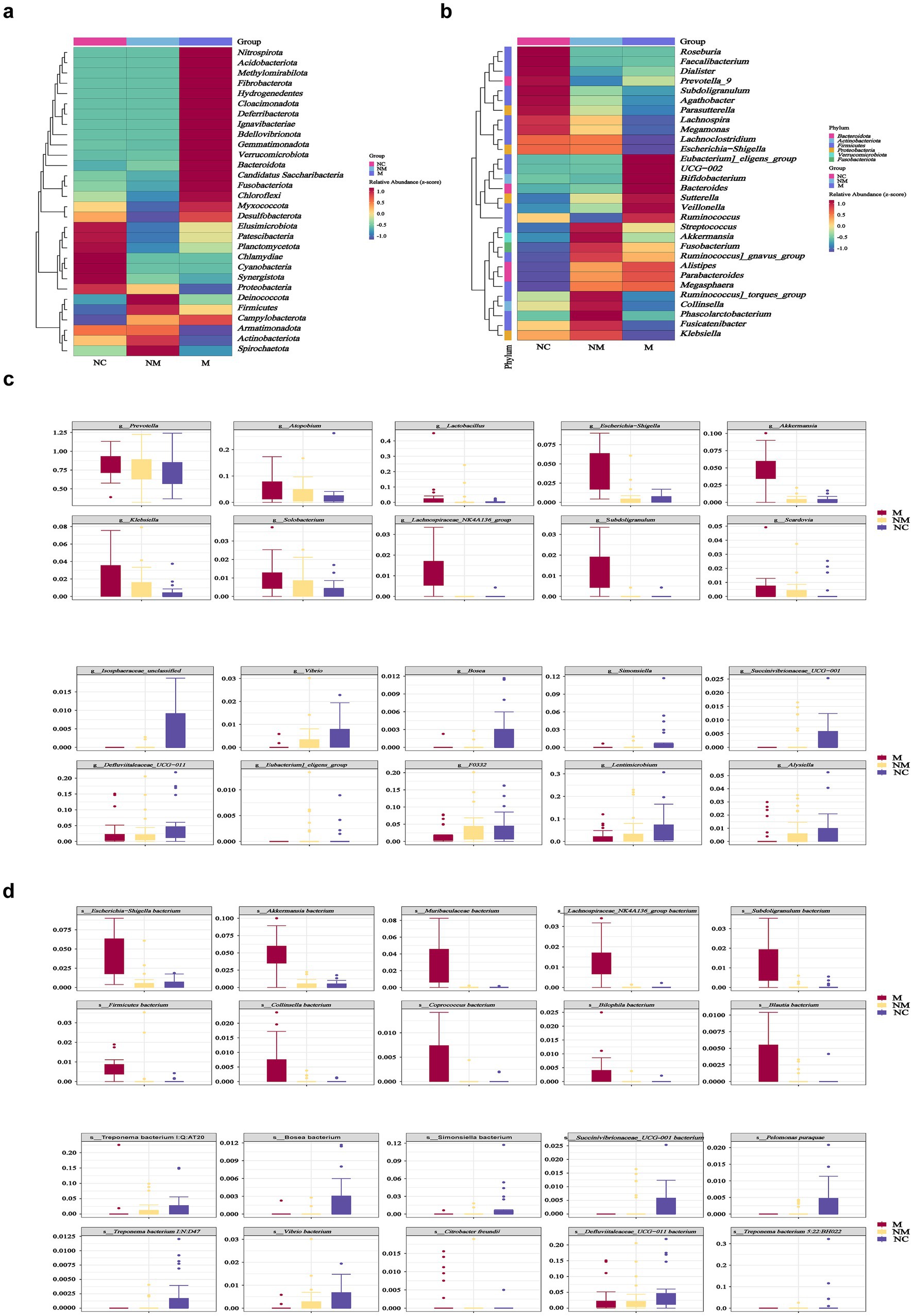 Heatmaps and box plots depict microbial diversity across groups labeled NC, NM, and M. Panels a and b show phylogenetic abundance. Panels c and d display individual species' abundance, highlighting variations in microbial communities among the groups. Each color represents a different group or phylum, with abundance indicated by color gradient.