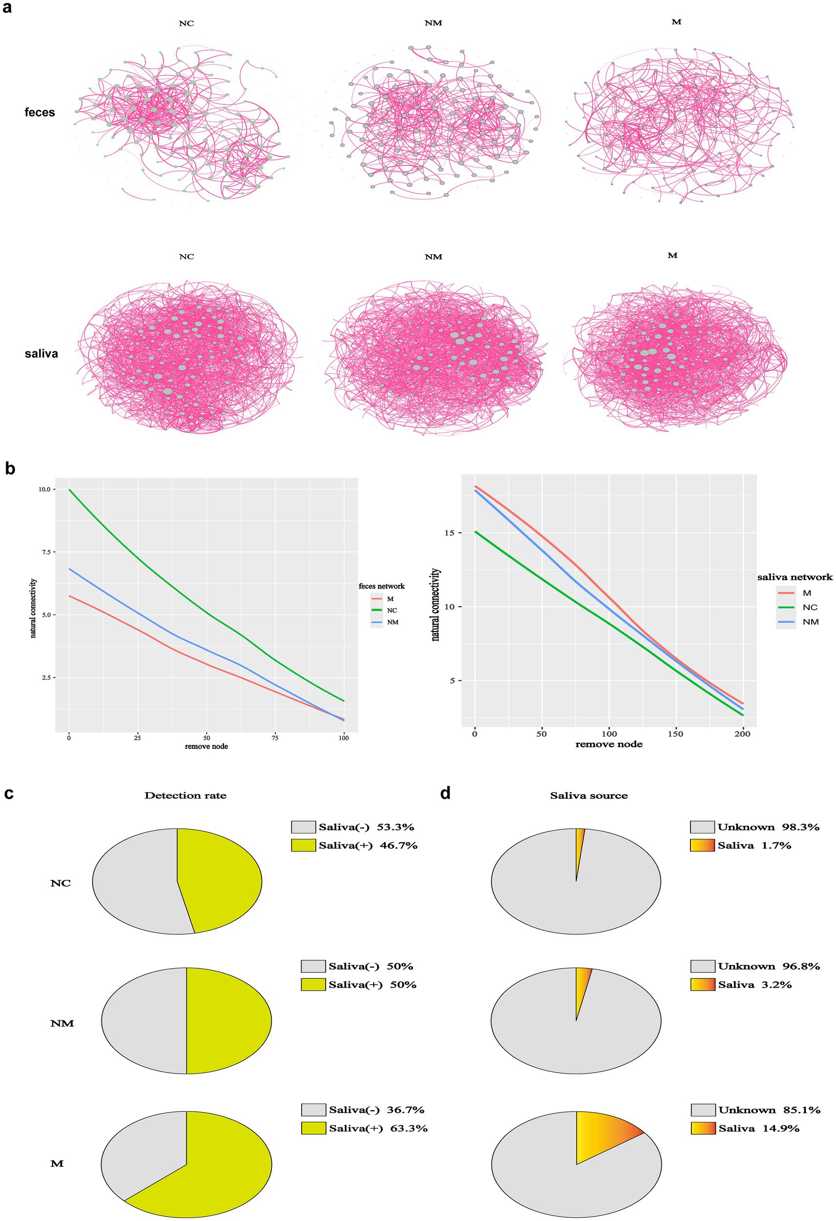 Network diagrams and data visualizations compare feces and saliva samples across NC, NM, and M groups. Part (a) shows network structures for feces and saliva. Part (b) includes two line charts depicting connectivity changes upon node removal for both networks. Part (c) presents pie charts of detection rates in different states, showing Saliva(-) and Saliva(+) proportions. Part (d) contains pie charts indicating saliva source distribution, highlighting the percentage of unknown and known sources in each group.