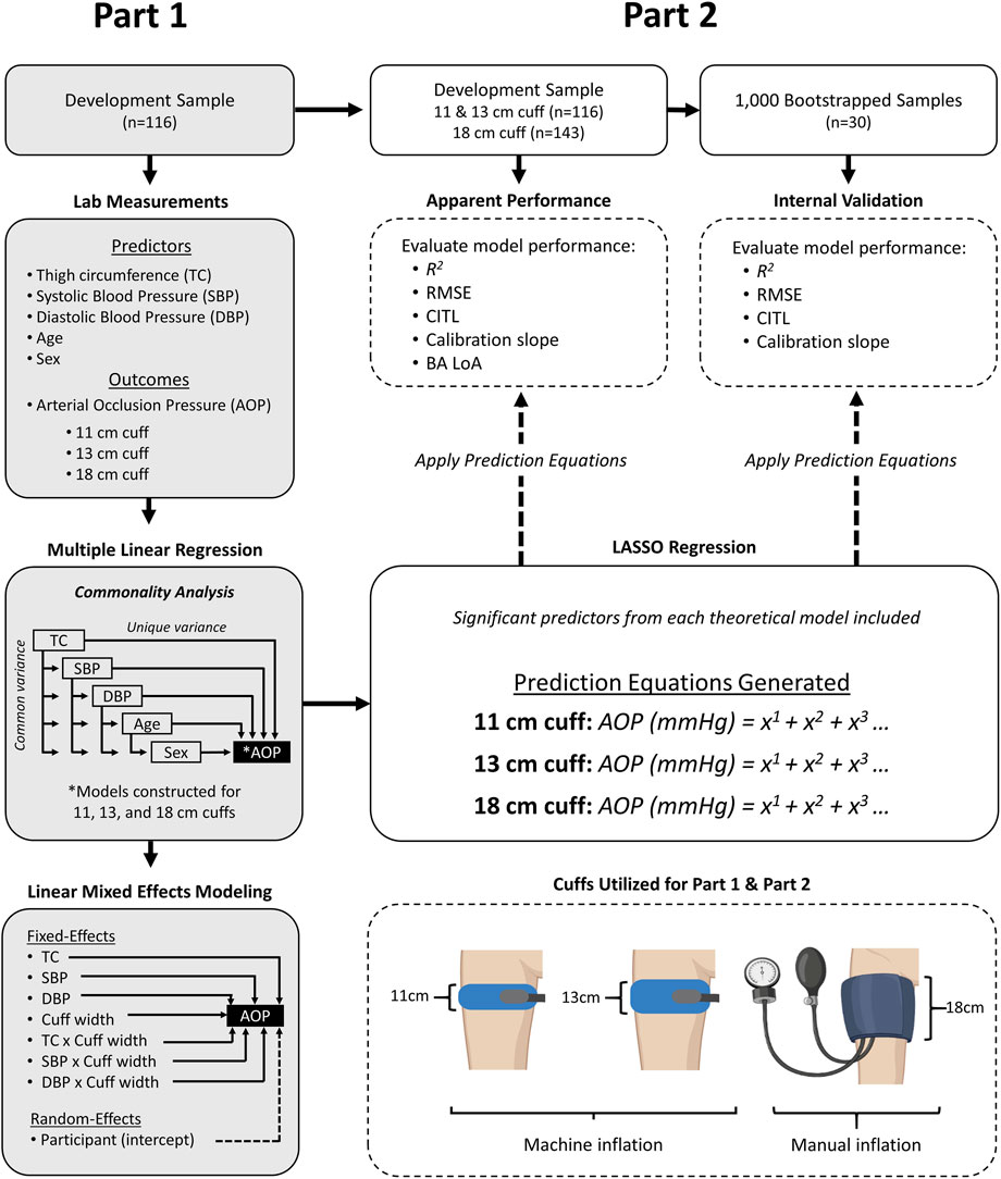 Flowchart depicting a study design with two parts. Part 1 involves 116 participants with measurements using 11, 13, and 18 cm cuffs. Lab measurements include thigh circumference, systolic and diastolic blood pressure, age, and sex, predicting arterial occlusion pressure through multiple linear regression and commonality analysis. Linear mixed effects modeling considers fixed effects like cuff width and blood pressure. Part 2 uses 1,000 bootstrapped samples for internal validation, with LASSO regression utilized for prediction equations. The chart includes illustrations of cuffs for machine and manual inflation.
