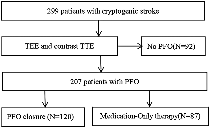 Flowchart showing the assessment of 299 cryptogenic stroke patients using TEE and contrast TTE. Ninety-two patients had no PFO. Two hundred seven patients had PFO; 120 underwent PFO closure, while 87 received medication-only therapy.