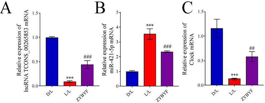 Bar charts comparing the relative expression of mRNA in three conditions: D/L, L/L, and ZYBYF. Charts A, B, and C show significant differences marked with asterisks and hashes. Different colors represent different conditions. Errors bars are included.