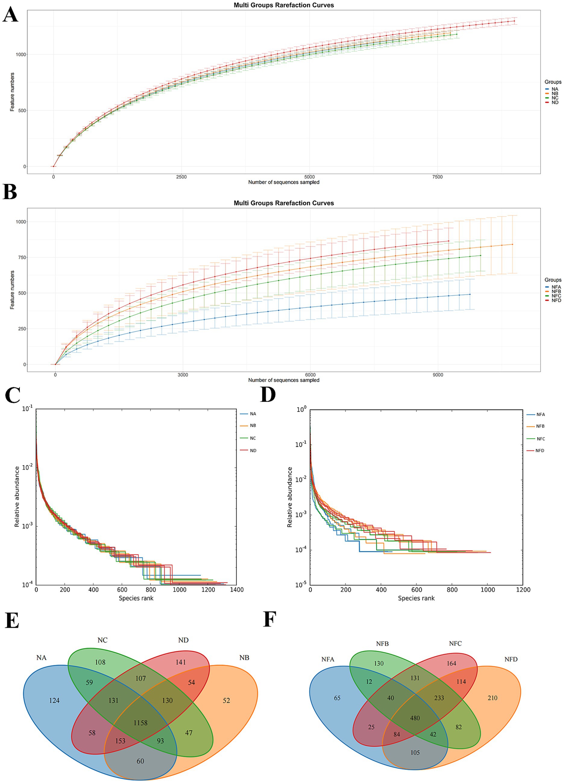 A composite of six charts and diagrams labeled A to F. Chart A and B show multi-group rarefaction curves with feature numbers against sampled sequences, differentiated by group color lines. Charts C and D display species rank against relative abundance, with varied colored lines for each group. Diagrams E and F are Venn diagrams illustrating overlapping feature counts among groups, with sections showing quantities of shared and unique features. Each chart and diagram uses distinct colors to represent different groups.