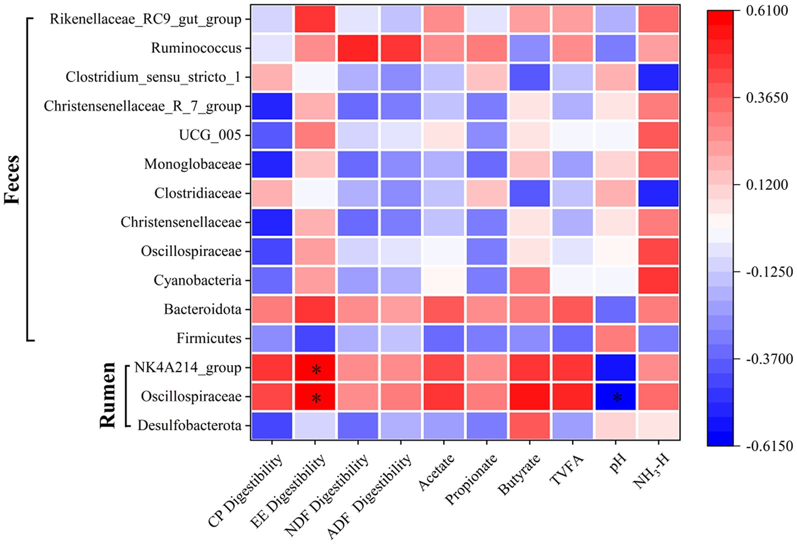 Heatmap showing correlation between microbiota in feces and rumen with various digestibility factors and compounds. Rows represent different bacterial groups, columns represent factors like CP Digestibility and pH. Color gradient ranges from blue to red, indicating negative to positive correlations. Asterisks denote significant correlations.