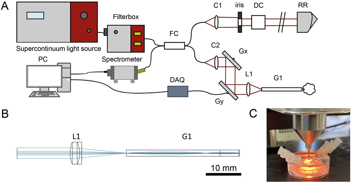 A schematic diagram and photograph illustrate a supercontinuum light source system. Panel A shows a setup with a light source, filter box, spectrometer, and computer connection, leading to optical components like lenses and reflectors. Panel B provides a simplified optical path diagram, highlighting lenses L1 and G1 with a scale of ten millimeters. Panel C features a real-world application, showing light being directed onto a sample in a petri dish.