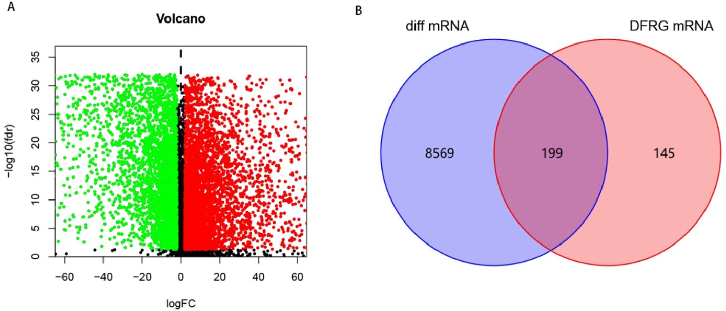 Chart A is a volcano plot showing log fold change on the x-axis and negative log ten of false discovery rate on the y-axis. Points are colored green, red, and black, representing different data classifications. Chart B is a Venn diagram with two overlapping circles. The left circle, labeled