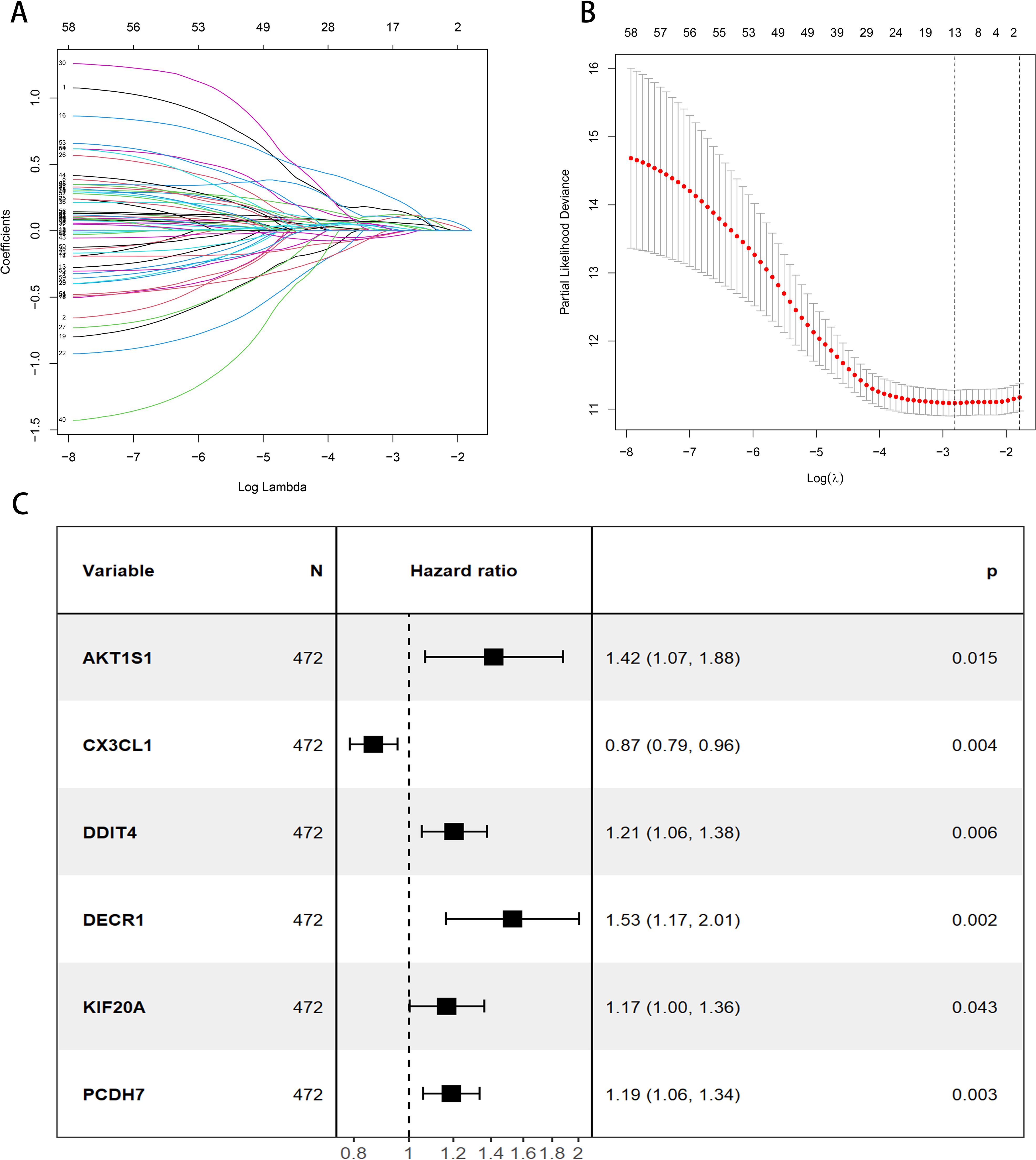 Three-panel image with data visualizations. Panel A shows a line graph of coefficients versus log lambda, illustrating paths of shrinking variables. Panel B features a line graph of partial likelihood deviance versus log lambda, with error bars and an optimal lambda indicated by a red dot. Panel C is a table with hazard ratios for six variables (AKT1S1, CX3CL1, DDIT4, DECR1, KIF20A, PCDH7), each with sample size 472. The hazard ratios range from 0.87 to 1.53, with p-values indicating statistical significance.