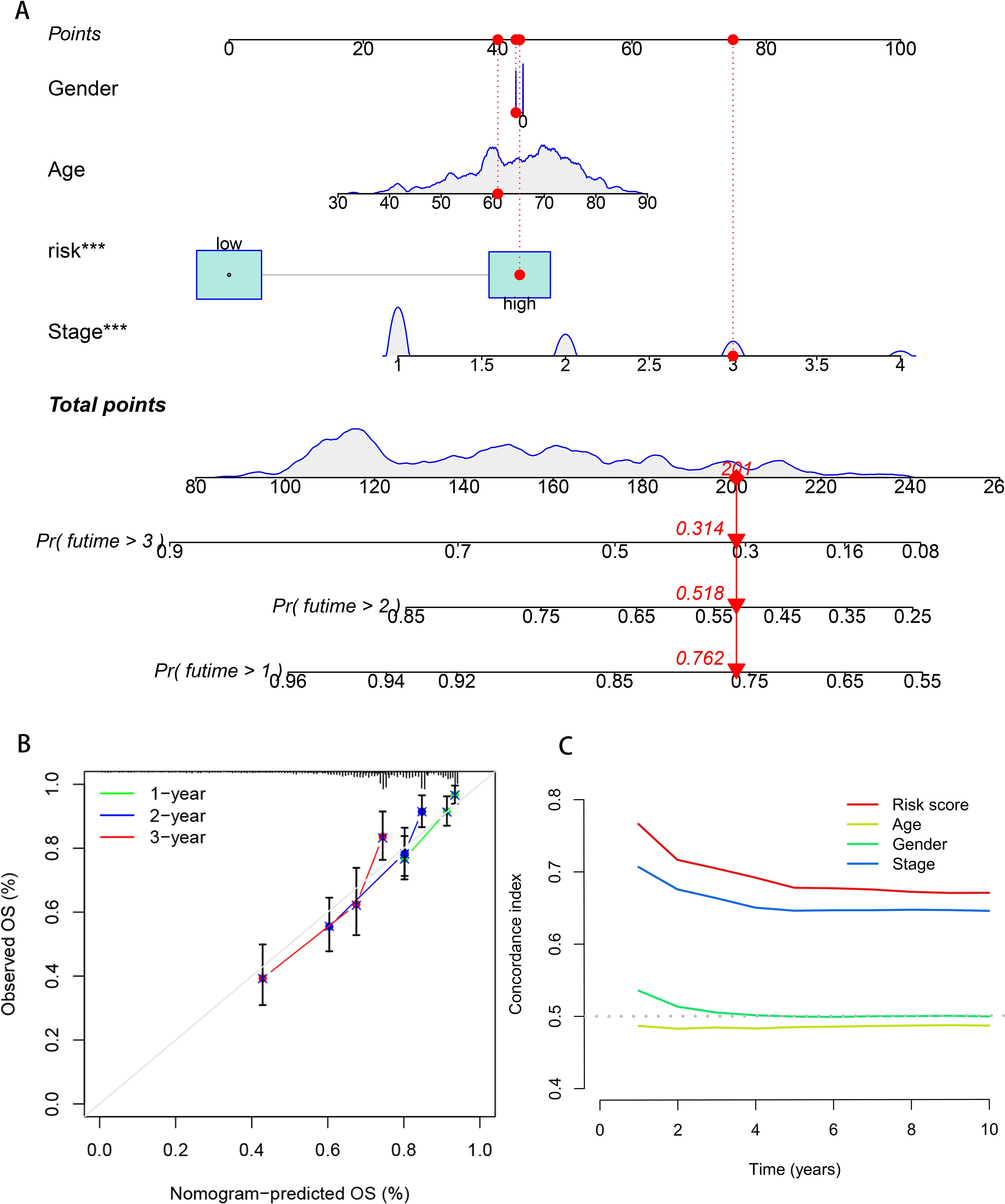 Panel A shows a nomogram predicting survival probability based on gender, age, risk, and stage, with total points guiding probabilities for survival beyond one, two, and three years. Panel B presents a calibration plot comparing nomogram-predicted overall survival (OS) with observed OS over one, two, and three years. Panel C illustrates the concordance index for risk score, age, gender, and stage over ten years, indicating model performance stability.