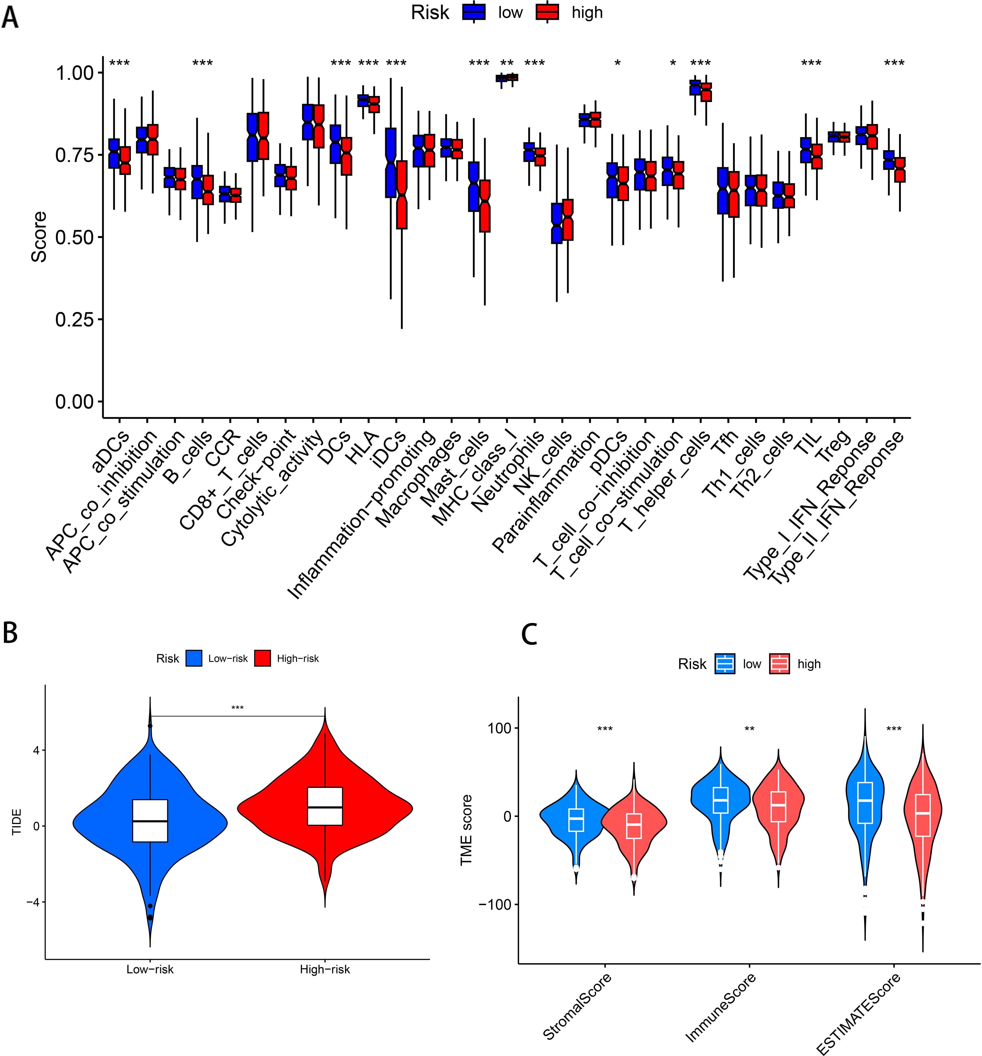 Chart illustrating immune-related scores and risk associations across different cell types and conditions. Panel A shows box plots for a variety of immune cell activities, comparing low-risk (blue) and high-risk (red) groups with significance markings. Panel B presents violin plots of TIDE scores for low-risk and high-risk groups. Panel C displays violin plots for TME scores, comparing StromaScore, ImmuneScore, and ESTIMATEScore between risk groups, with significance indicated.