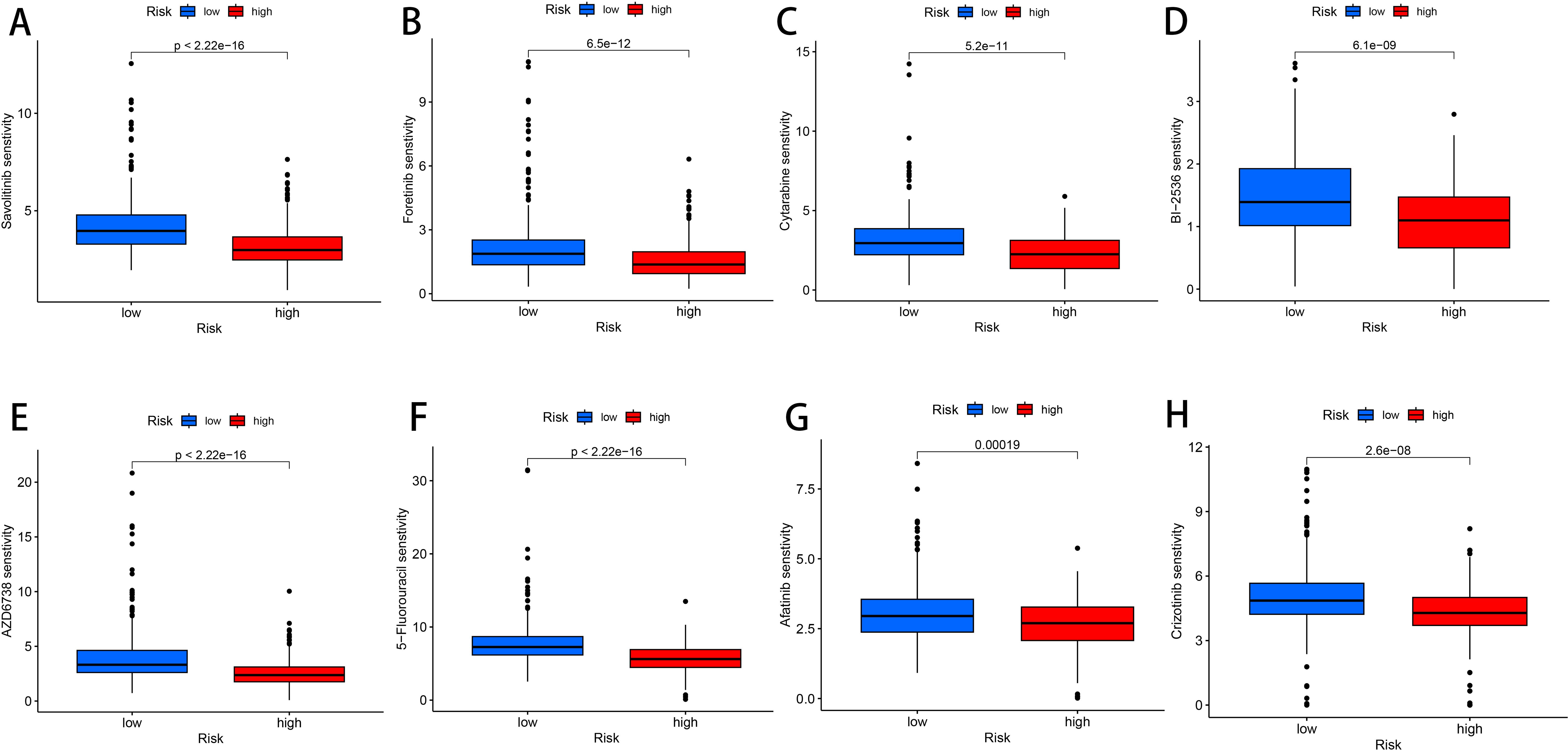 Boxplots comparing drug sensitivity between low and high-risk groups for different drugs: A) Savolitinib, B) Foretinib, C) Cytarabine, D) BI-2536, E) AZD6738, F) 5-Fluorouracil, G) Afatinib, H) Crizotinib. Blue represents low-risk, red represents high-risk. Significant differences are indicated by p-values above each plot.