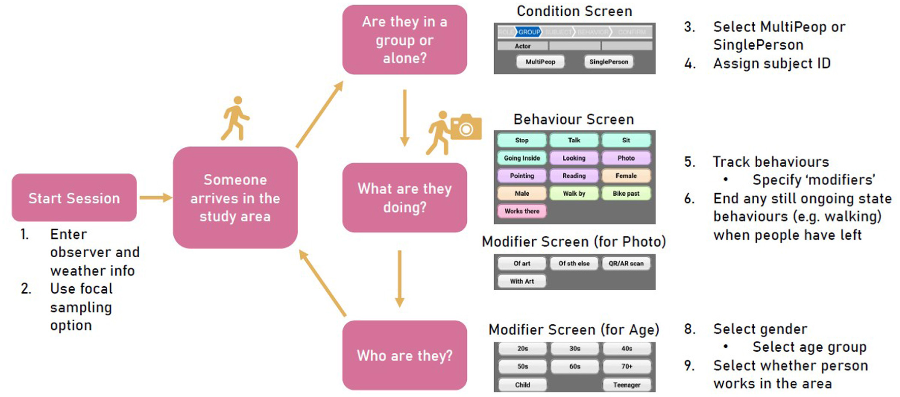 Flowchart of the observation procedure. Each observation session is started by entering name of observer and weather information in the observation app. Next observers wait for passers-by; once someone arrives in the study area the observer selects whether they are alone or in a group and assigns them a subject ID. Next their behaviours are tracked by selecting the corresponding button within the app until they leave the study area again. Additional information is also tracked within the app by selecting gender, age, and whether the person works sin the area using the corrresponding buttons in the observation app.