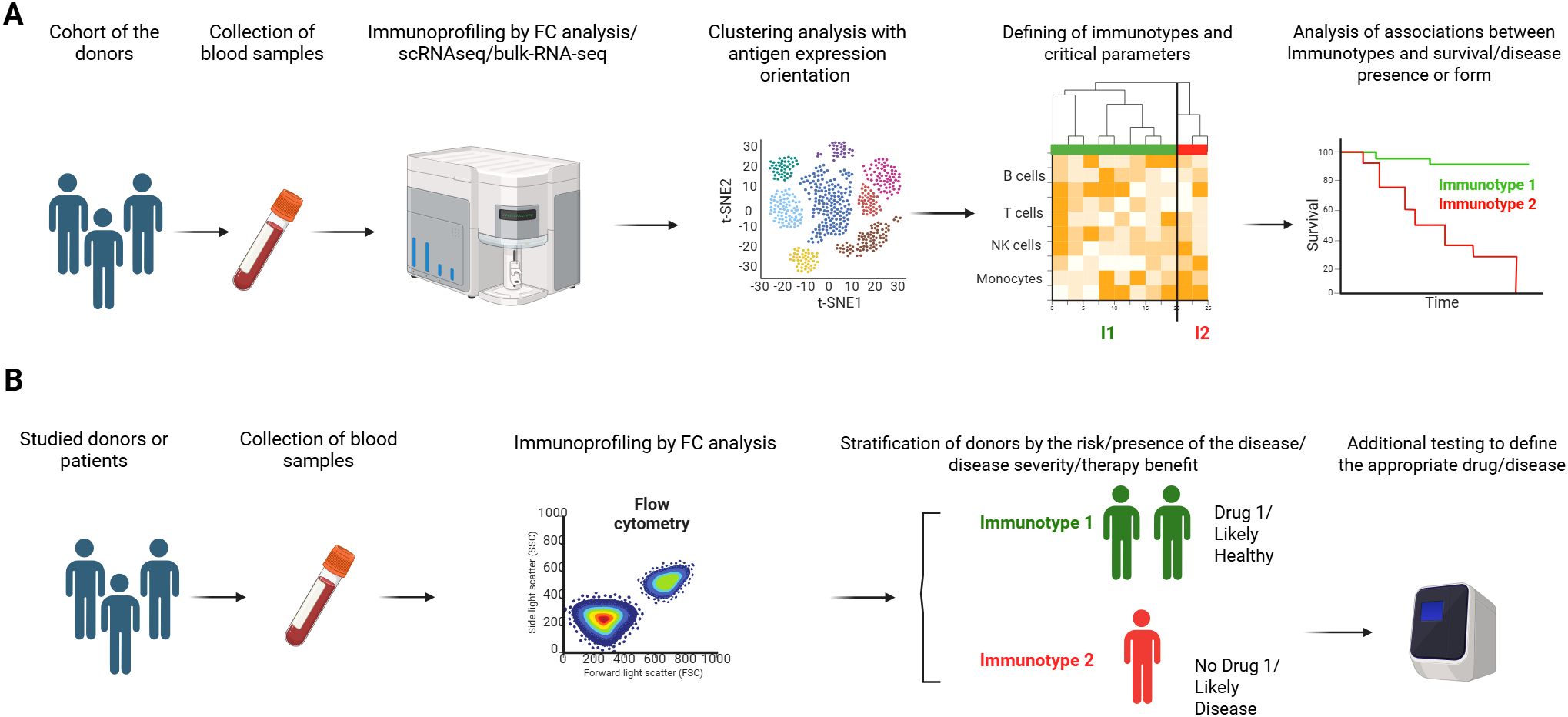 Diagram showing a two-part workflow. A: Cohort of donors provides blood samples, which undergo immunoprofiling through FC analysis, scRNAseq, or bulk-RNA-seq. Results in clustering analysis, defining immunotypes and critical parameters like B, T, NK cells, and monocytes. Associations between immunotypes and survival or disease are analyzed. B: Studied donors provide blood samples for FC analysis, determining risk or presence of disease and therapy benefits. Results stratify donors into Immunotype 1 (likely healthy, drug 1) and Immunotype 2 (likely disease, no drug 1), informing additional testing.