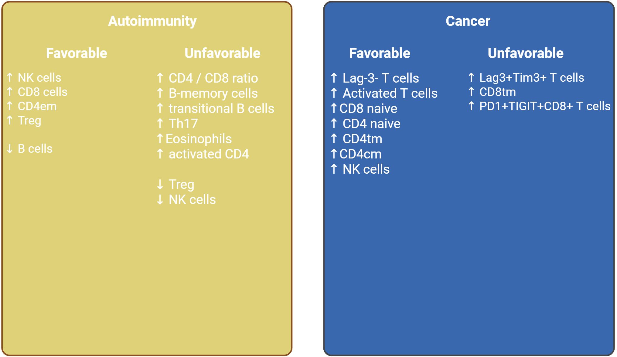 Chart comparing favorable and unfavorable immune cell conditions in autoimmunity and cancer. Autoimmunity favorable: ↑ NK cells, CD8 cells, CD4em, Treg; ↓ B cells. Unfavorable: ↑ CD4/CD8 ratio, B-memory, transitional B cells, Th17, eosinophils, activated CD4; ↓ Treg, NK cells. Cancer favorable: ↑ Lag-3- T cells, activated T cells, CD8 naive, CD4 naive, CD4tm, CD4cm, NK cells. Unfavorable: ↑ Lag3+Tim3+ T cells, CD8tm, PD1+TIGIT+CD8+ T cells.