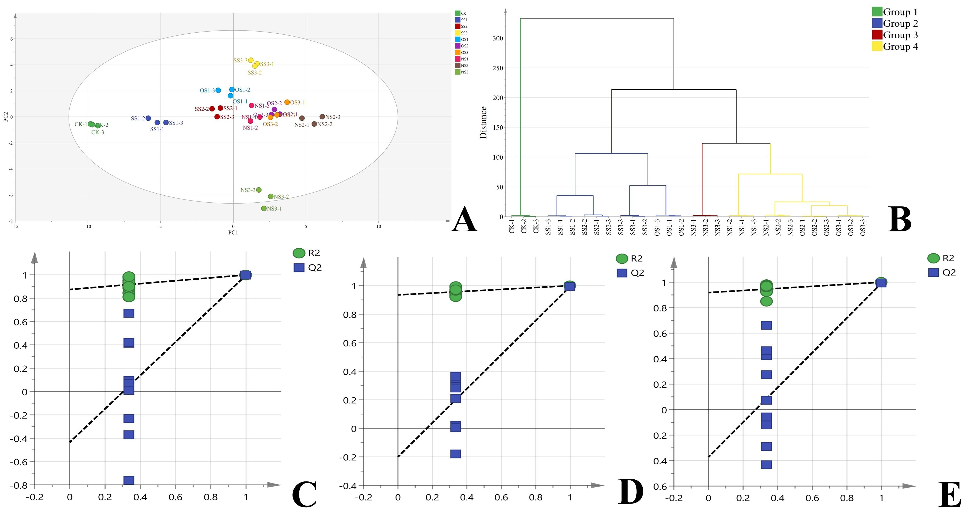 Five-panel figure labeled A to E. A: A scatter plot with various colored dots representing groups CK, SS1, SS2, SS3, OS1, OS2, OS3, NS1, NS2, NS3. B: Dendrogram showing hierarchical clustering of the same groups, clustered into four main groups shown in different colors. C, D, and E: Line graphs comparing R2 and Q2 values using green circles and blue squares, respectively, with dashed lines indicating trends.