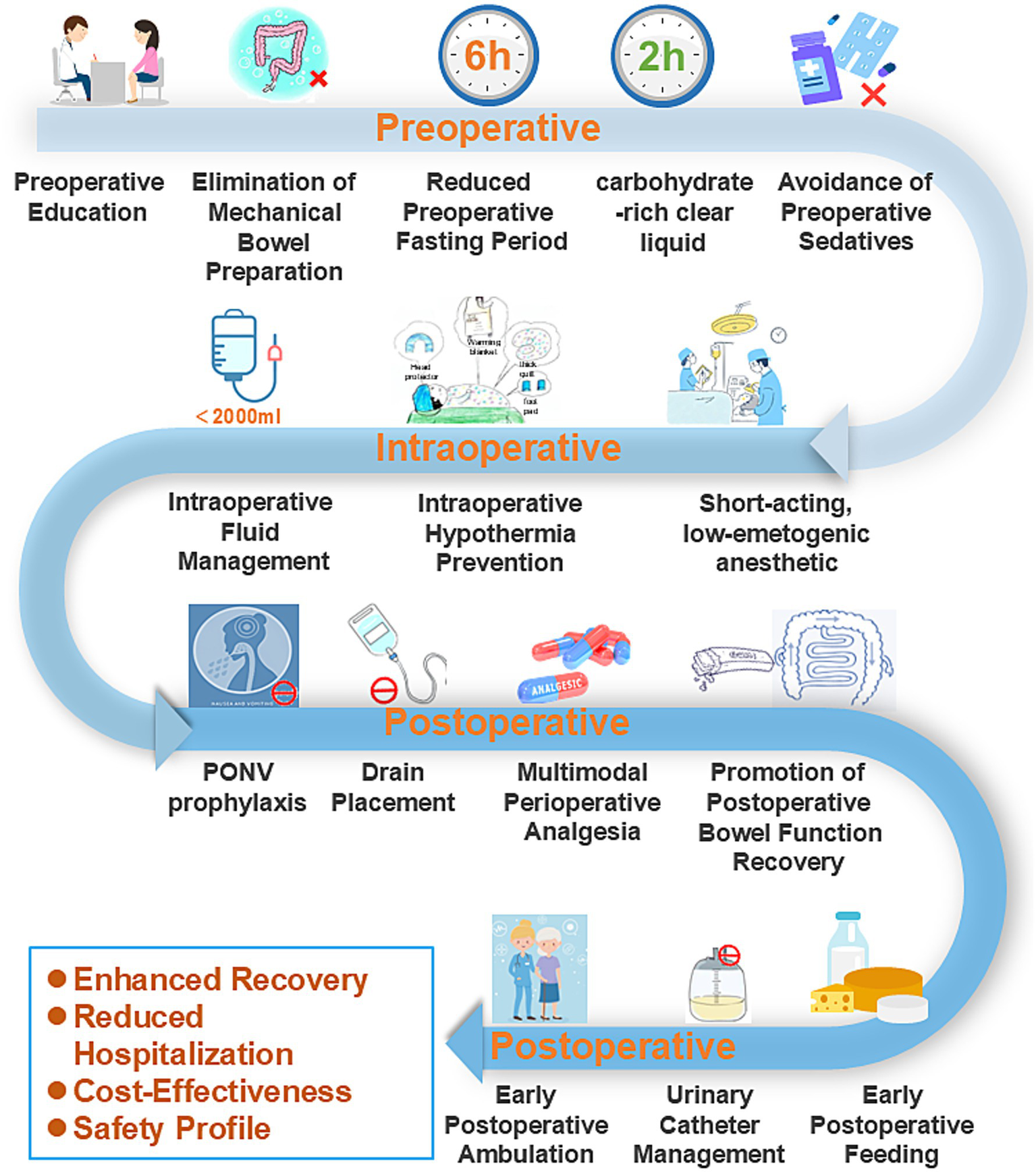 Flowchart summarizing the three phases of perioperative care: preoperative, intraoperative, and postoperative. Preoperative elements include patient education, fasting protocols, and avoidance of routine sedatives. Intraoperative care emphasizes fluid management and maintenance of normothermia. Postoperative care focuses on multimodal analgesia, early mobilization, early oral feeding, and bowel recovery. The pathway highlights enhanced recovery measures associated with reduced complications, shorter hospitalization, and lower costs.