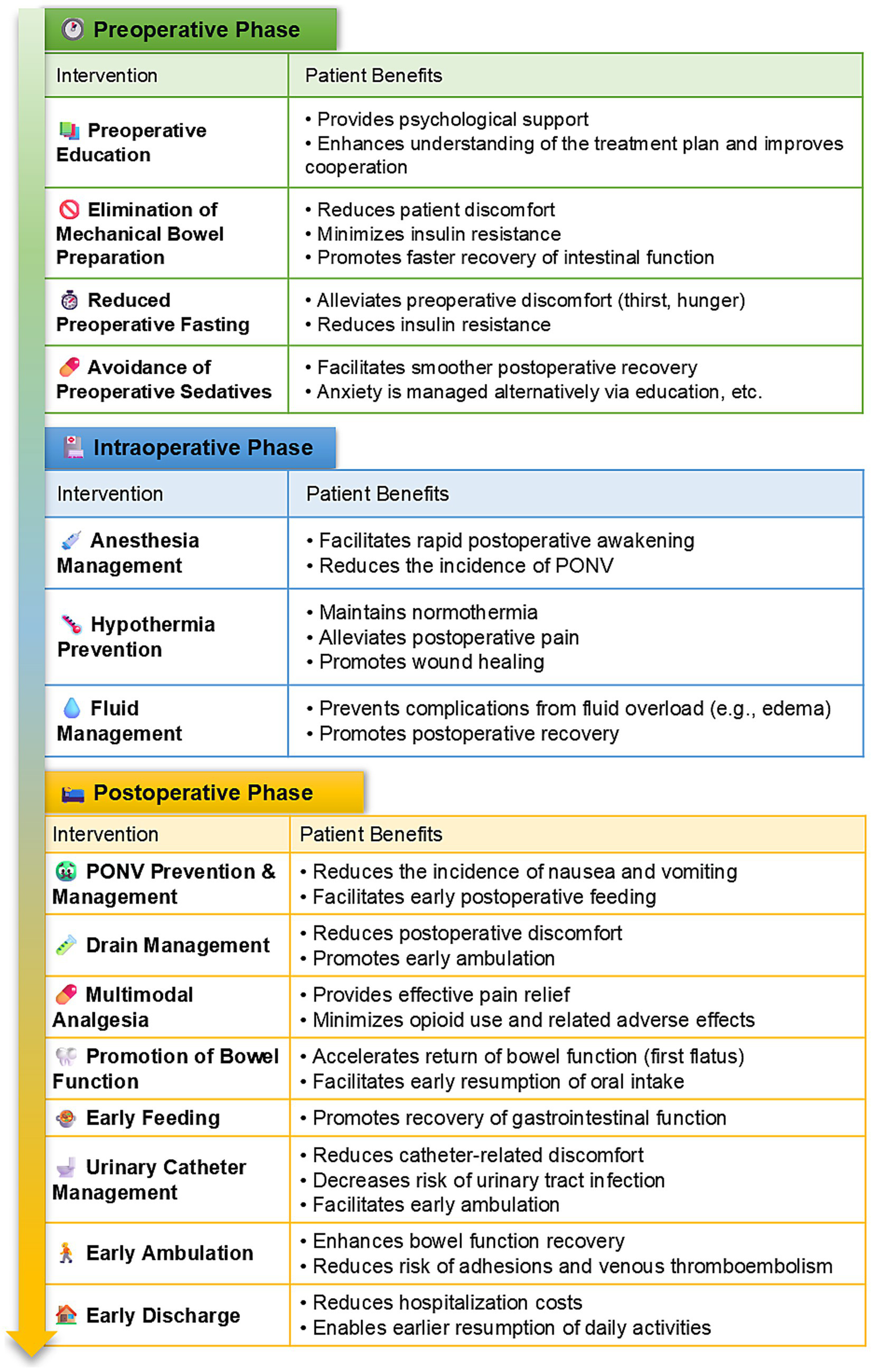 Flowchart detailing interventions and expected patient benefits across perioperative phases. Preoperative: psychological preparation, expectation setting, and instructions to minimize fasting and avoid sedatives. Intraoperative: standardized anesthesia, PONV prophylaxis, normothermia, and fluid optimization for smoother emergence and anxiety reduction. Postoperative: multimodal analgesia, early mobilization, early enteral nutrition, and gastrointestinal function recovery. The pathway aims to reduce discomfort, PONV, and opioid use, enabling earlier rehabilitation and discharge while decreasing readmission risk.