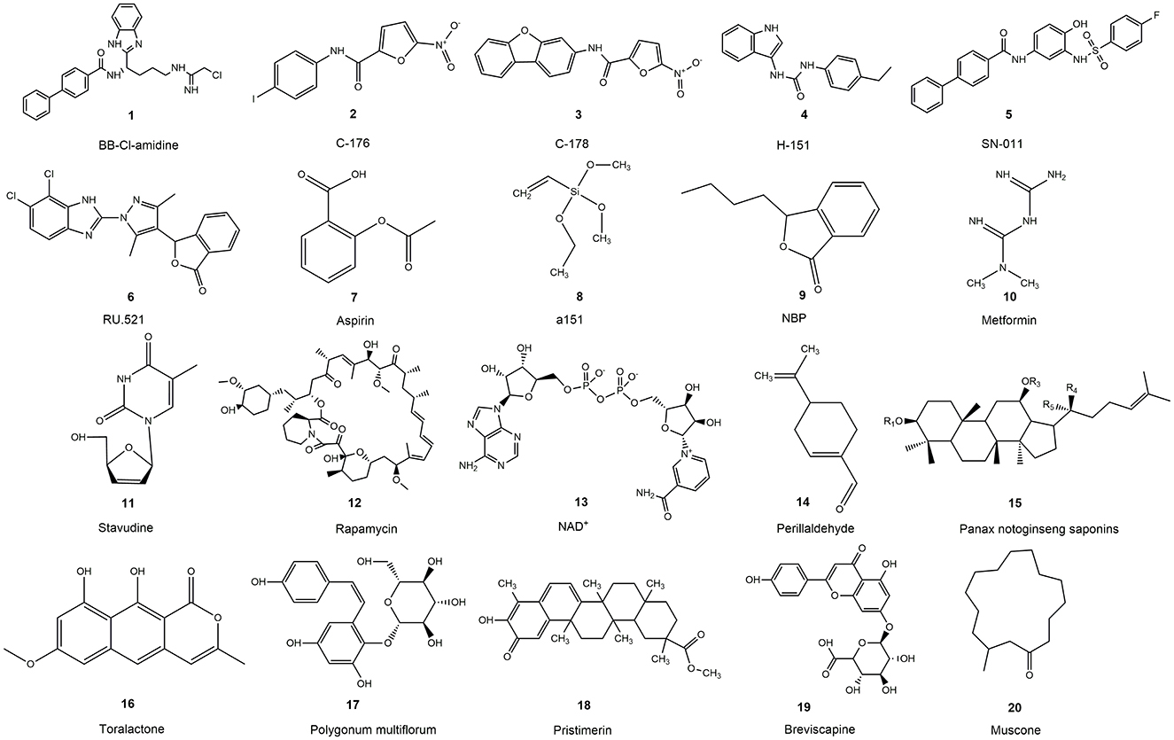 Chemical structures of twenty compounds, each labeled with a number and name. Includes BB-Cl-amidine, C-176, C-178, H-151, SN-011, RU.521, Aspirin, a151, NBP, Metformin, Stavudine, Rapamycin, NAD+, Perillaldehyde, Panax notoginseng saponins, Toralactone, Polygonum multiflorum, Pristimerin, Breviscapine, and Muscone.