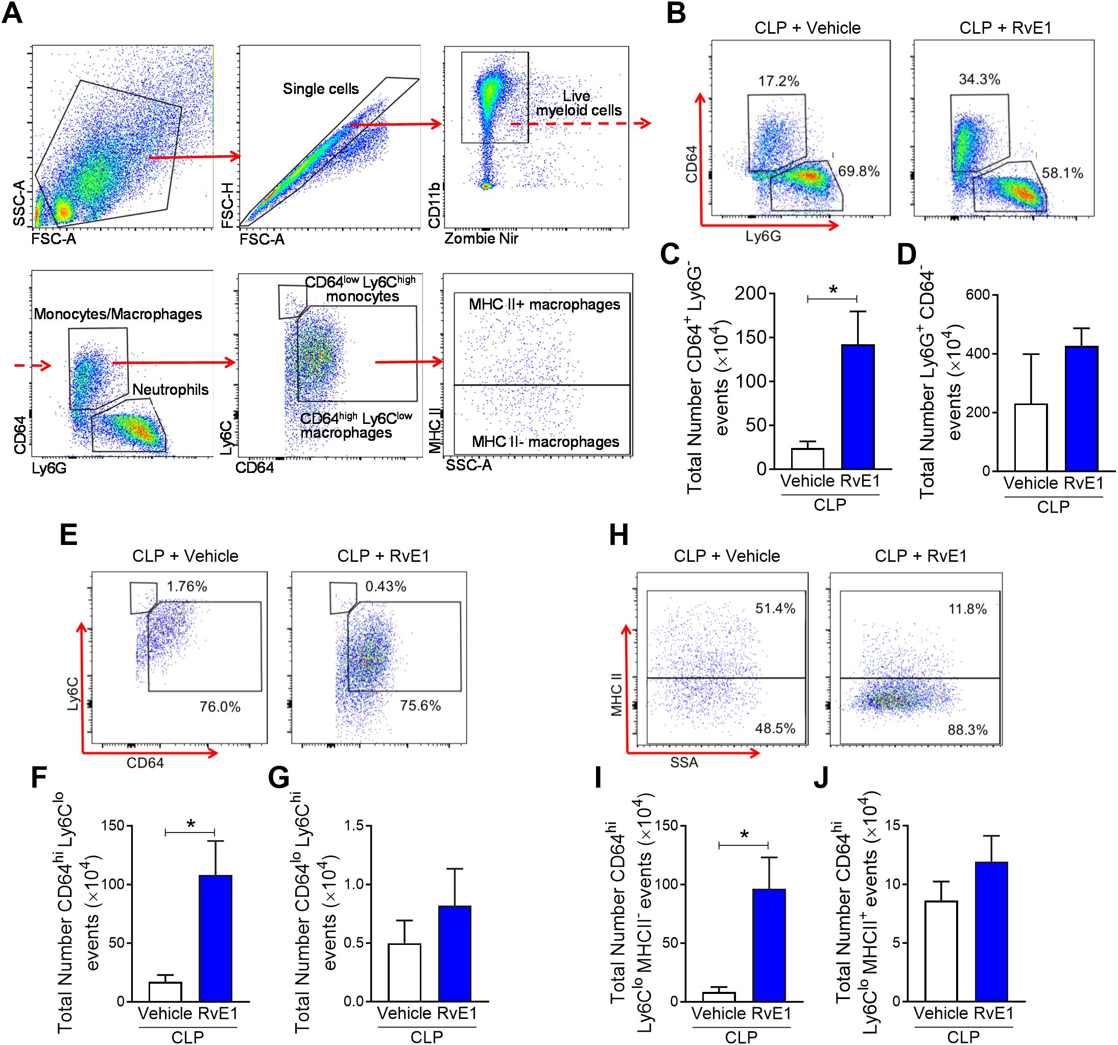 Flow cytometry analysis compares immune cell populations under CLP with or without RvE1 treatment. Panels A and B show gating strategies for identifying live myeloid cells, monocytes/macrophages, neutrophils, and subpopulations based on CD64, Ly6G, and MHCII expression. Panels C to J present statistical graphs indicating the total number of specific cell types, revealing significant differences between treatments. RvE1 impacts monocyte and macrophage populations, as shown by flow data and bar charts.