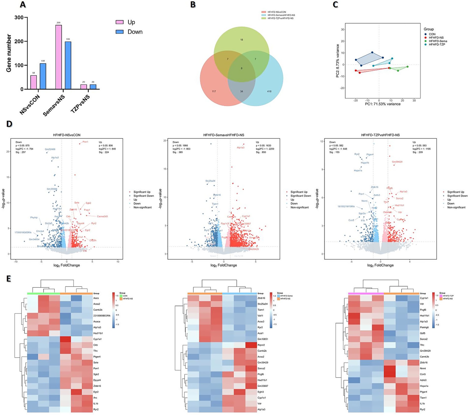 A composite image displaying several data visualizations related to gene expression analysis: (A) A bar chart showing the number of upregulated and downregulated genes across different comparisons. (B) A Venn diagram illustrating the overlap of gene sets in three different conditions. (C) A PCA plot depicting the variance in gene expression among different groups. (D) Three volcano plots highlighting significant changes in gene expression with points colored to indicate upregulation and downregulation. (E) Three heatmaps showing the expression levels of selected genes across conditions, with clustering dendrograms.