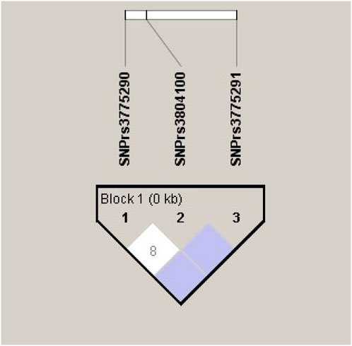 Diagram showing a block of three SNPs labeled SNP rs3775290, SNP rs3804100, and SNP rs3775291. An inverted triangle labeled