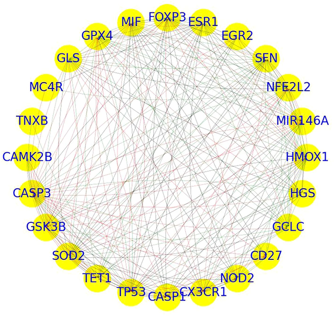 Network diagram showing interconnected nodes labeled with gene symbols such as FOXP3, ESR1, and TP53. Nodes are in yellow circles with various colored lines indicating connections.