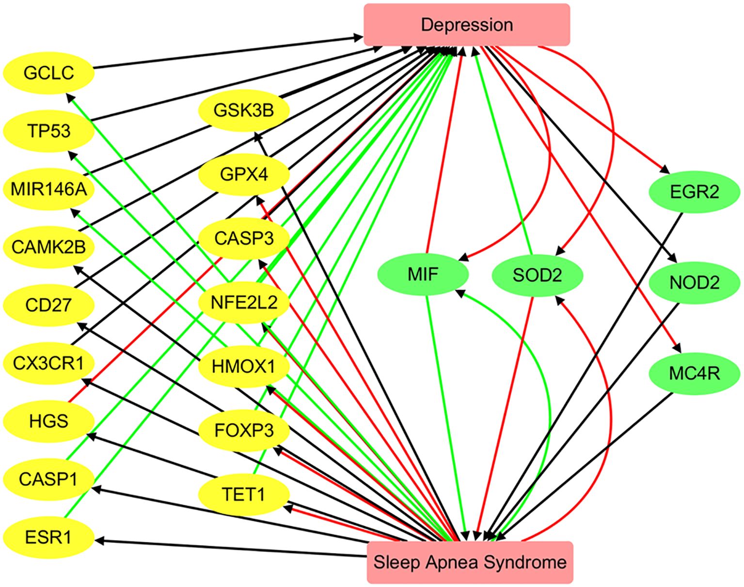 Flowchart illustrating the relationship between “Depression” and “Sleep Apnea Syndrome” through various genes. Yellow oval nodes (e.g., GCLC, TP53) link to “Depression,” while green oval nodes (e.g., MIF, SOD2) connect to both conditions. Arrows indicate relationships: black for general links, red for specific associations, and green for negative links.