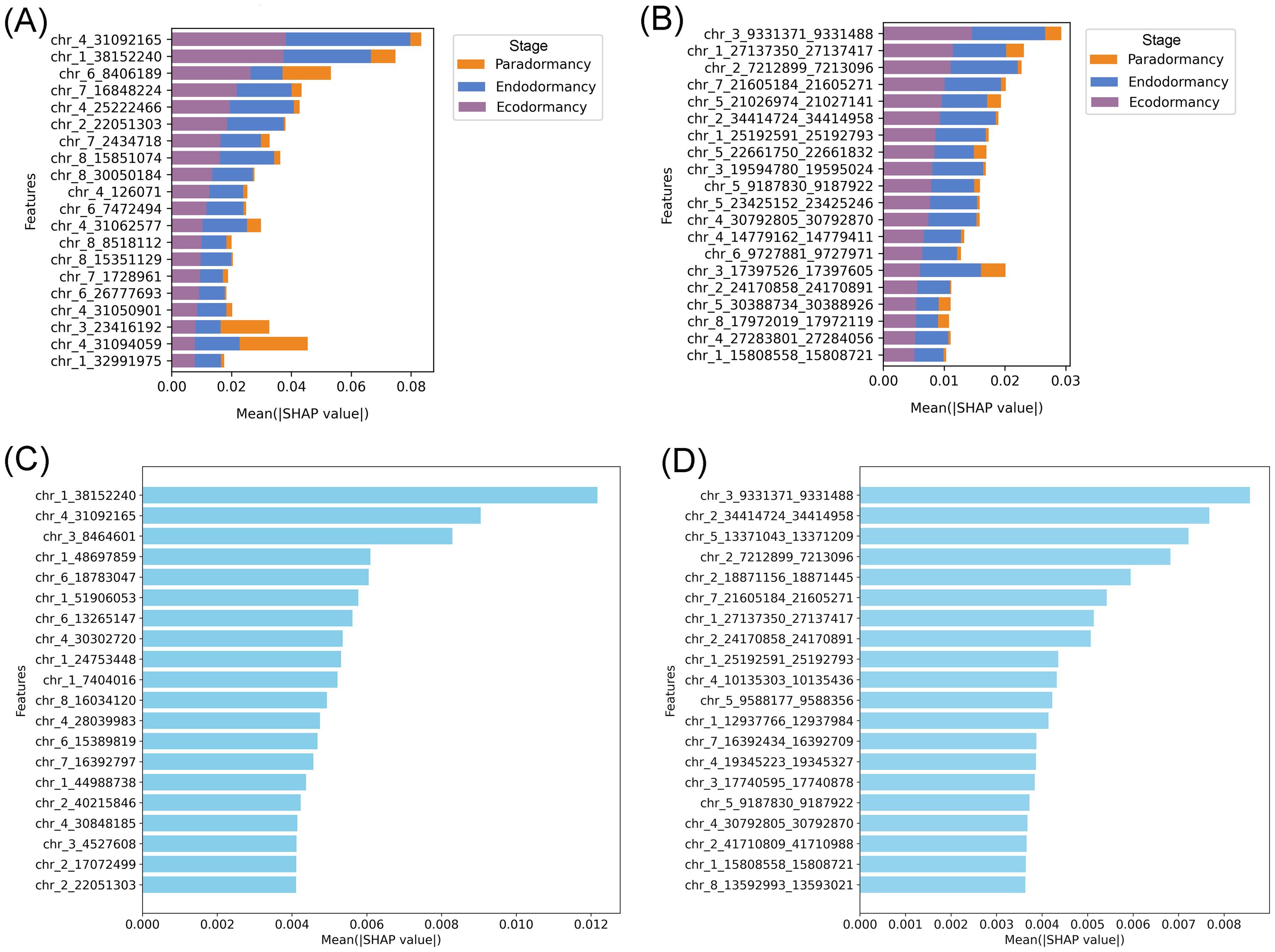 Four bar charts labeled A, B, C, and D display the mean SHAP values for various genetic features. Charts A and B include color-coded stages: Paradormancy (orange), Endodormancy (purple), and Ecodormancy (blue), while charts C and D do not have color coding. Each chart shows different features with varying mean SHAP values, indicating the importance of each feature in different contexts.