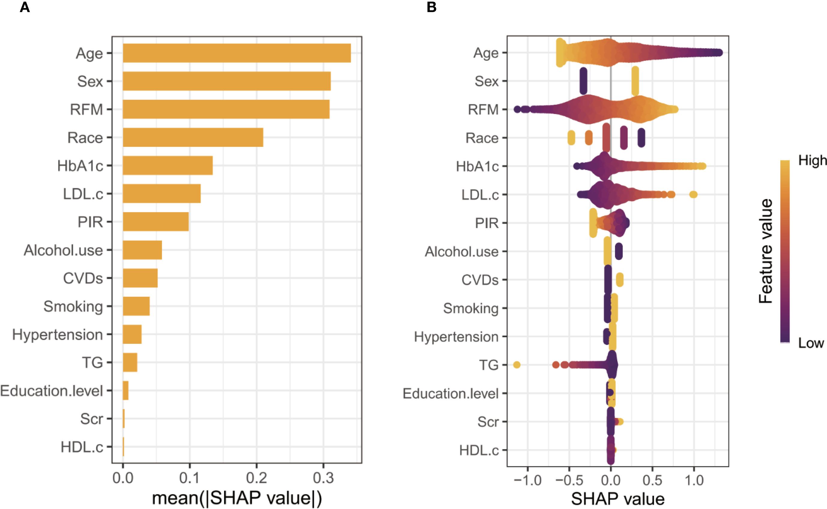 Bar chart (A) and violin plot (B) displaying SHAP values for different features. The bar chart ranks features like Age, Sex, and RFM by mean SHAP value. The violin plot visualizes each feature’s SHAP impact, with color gradient indicating feature value from low (purple) to high (yellow).
