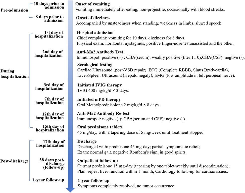 Timeline of a patient's medical journey starting with pre-admission symptoms like vomiting and dizziness. Hospitalization involved diagnostic tests including an anti-Ma2 antibody and serological tests, initiating IVIG and mPD therapy, and prescribing oral prednisone. Post-discharge follow-up included tapering prednisone, monitoring liver function, cardiac issues, and a complete resolution after one year.