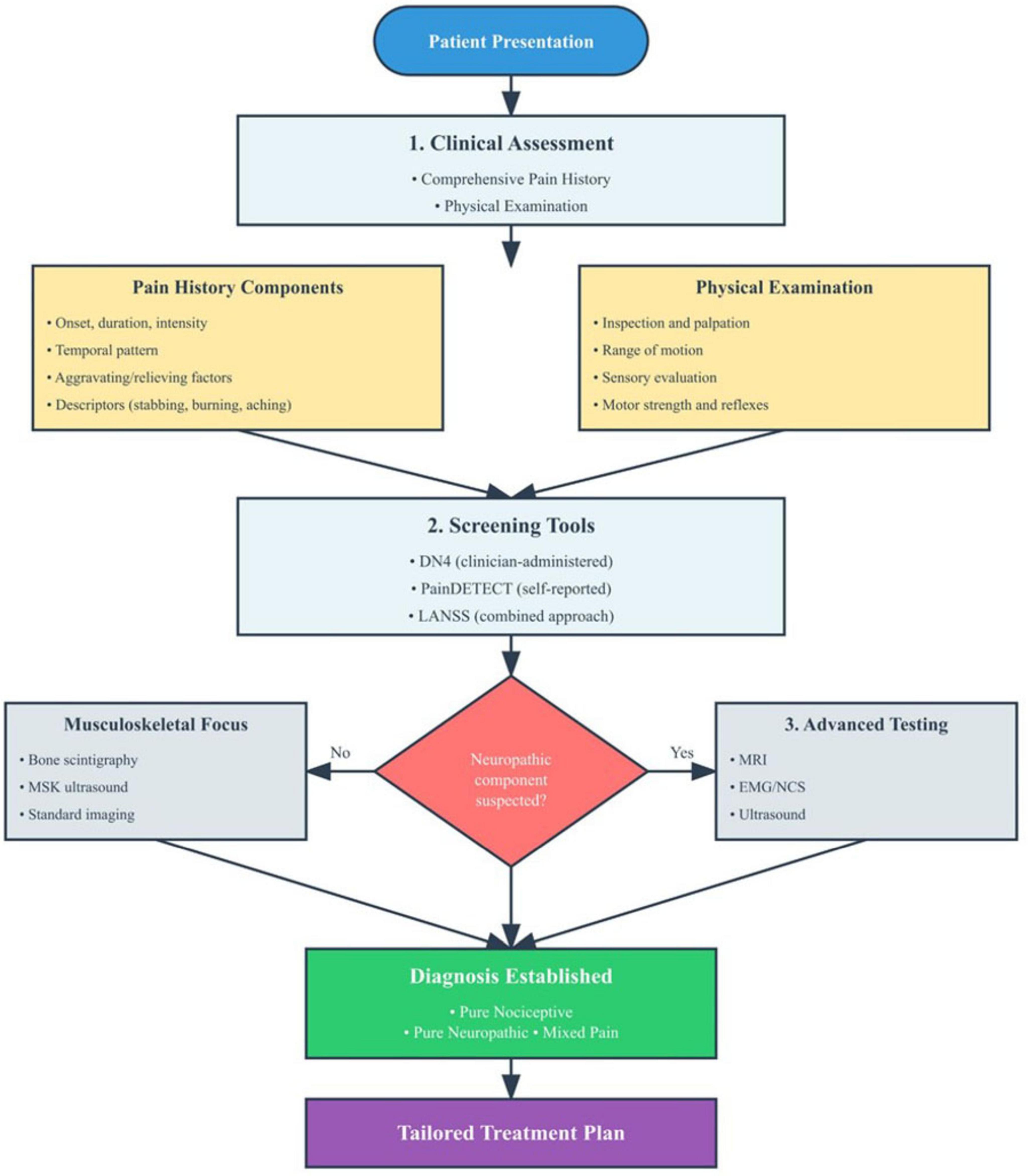 Flowchart outlining the patient assessment and diagnosis process. It begins with “Patient Presentation” leading to “1. Clinical Assessment” involving pain history and physical examination. This splits into “Pain History Components” and “Physical Examination”, which both feed into “2. Screening Tools” including DN4, PainDETECT, and LANSS. A decision point, “Neuropathic component suspected?”, leads to “Musculoskeletal Focus” if no (including bone scintigraphy and imaging) or “3. Advanced Testing” if yes (including MRI and ultrasound). Both paths go to “Diagnosis Established” (nociceptive, neuropathic, mixed) and conclude with “Tailored Treatment Plan.”