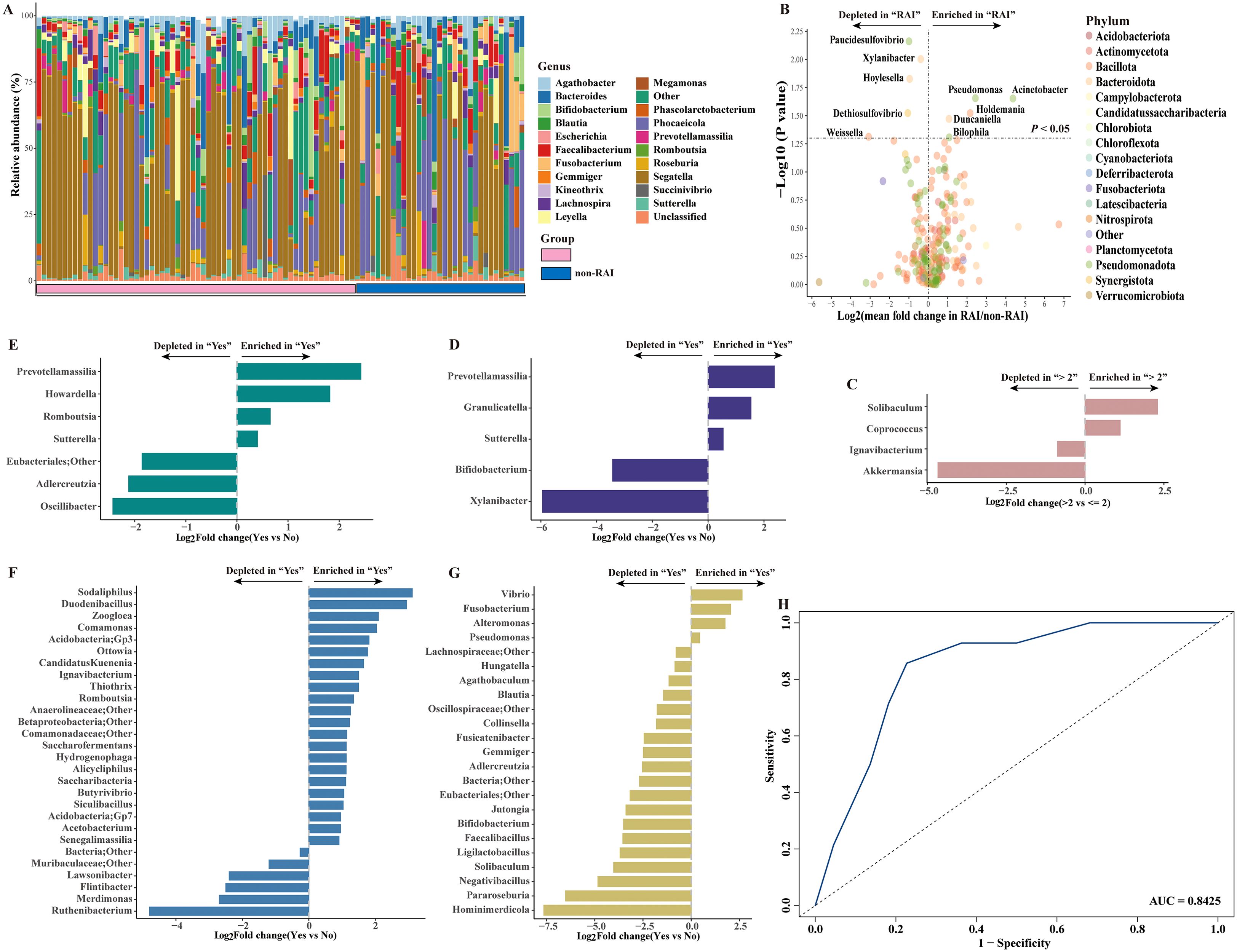 Image containing multiple panels of scientific data visualizations. Panel A is a stacked bar chart showing the relative abundance of various bacteria genera across two groups. Panel B is a volcano plot illustrating fold changes and significance levels for different phyla between groups labeled “RAI” and “non-RAI.” Panel C, D, E, F, and G are bar charts displaying log2 fold changes for specific bacteria enriched or depleted in different comparisons. Panel H is a receiver operating characteristic (ROC) curve with an area under the curve (AUC) of 0.8425, illustrating the performance of a classification model.