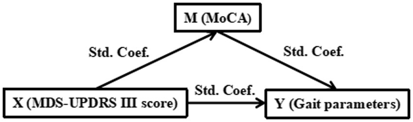 Diagram illustrating the relationship between X (MDS-UPDRS III score), M (MoCA), and Y (Gait parameters). Arrows indicate direction with