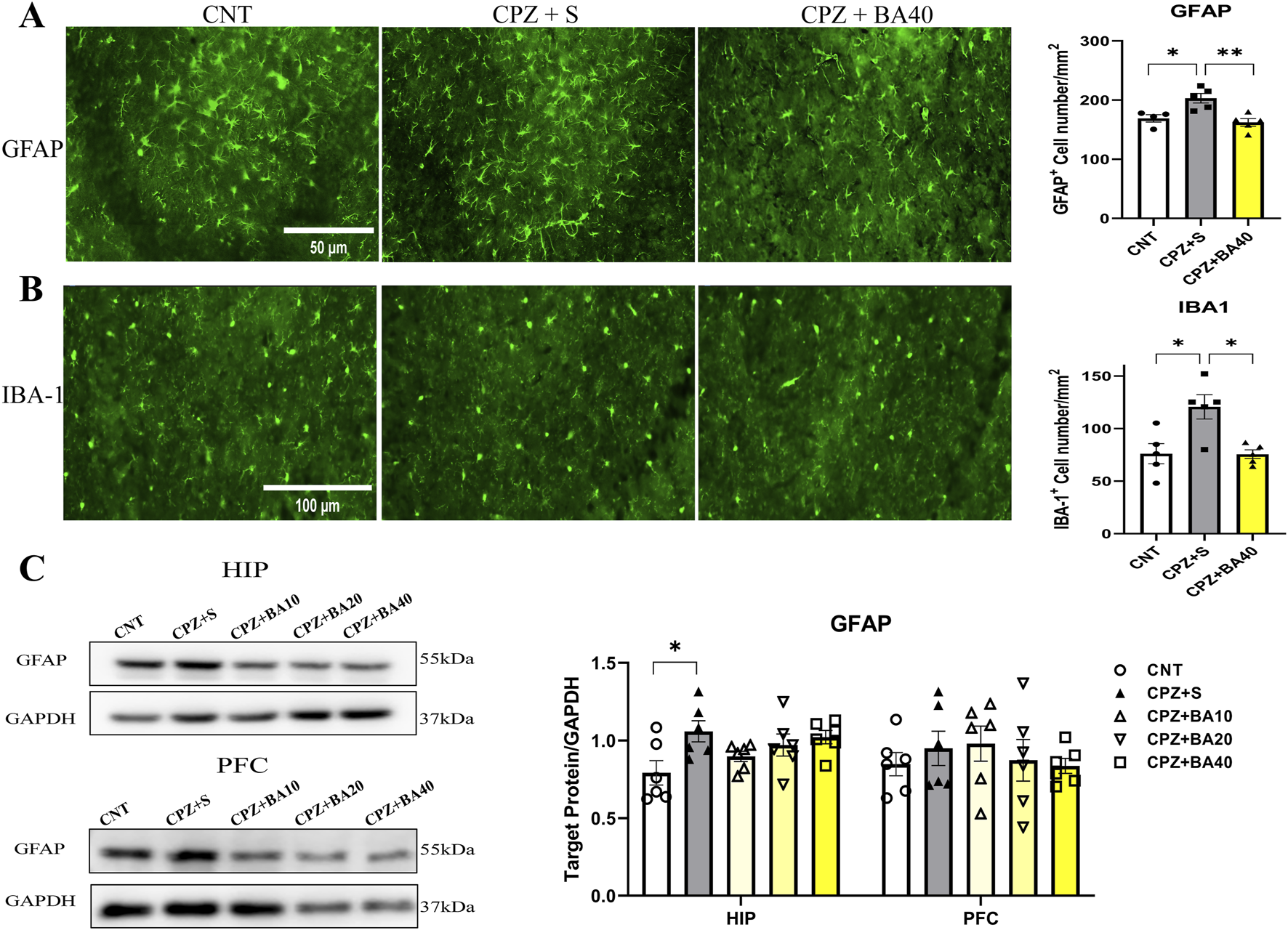 Fluorescence microscopy images and graphs show GFAP and IBA-1 expression. Panel A displays GFAP staining under different treatments: CNT, CPZ + S, and CPZ + BA40, with a cell count graph indicating statistical significance. Panel B presents IBA-1 staining with a similar treatment layout and cell count graph. Panel C includes Western blot images for HIP and PFC regions showing GFAP and GAPDH bands, accompanied by bar graphs comparing protein levels across treatments, highlighting significant differences. Scale bars measure fifty micrometers and one hundred micrometers.