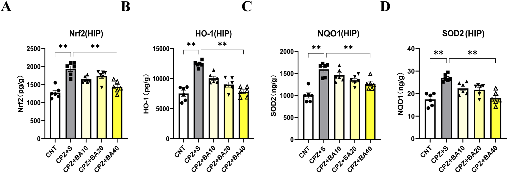 Bar graphs A to D compare the levels of Nrf2, HO-1, SOD2, and NQO1 in different groups (CNT, CPZ+S, CPZ+BA10, CPZ+BA20, CPZ+BA40) using bar height to indicate pg/g or ng/g concentrations. Significant differences are marked with asterisks.