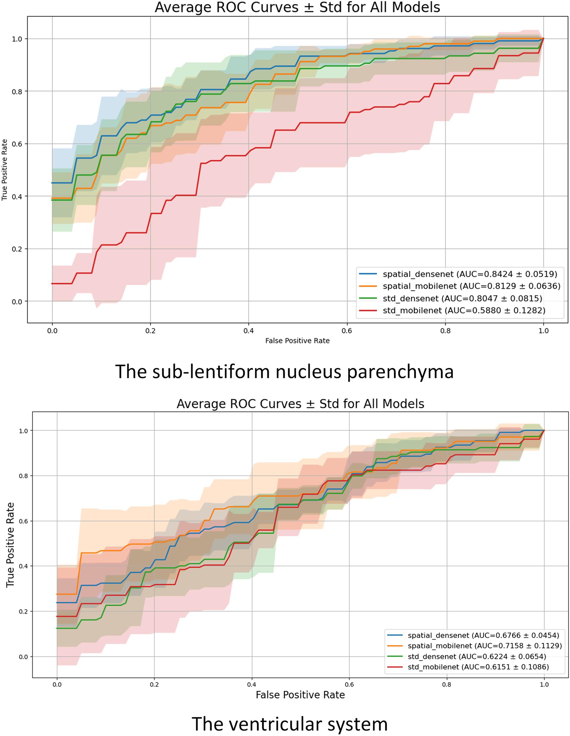 Two graphs showing average ROC curves with standard deviation for models in different brain areas. The top graph is for the sub-lentiform nucleus parenchyma, while the bottom is for the ventricular system. Both graphs feature spatial_densenet, spatial_mobilenet, std_densenet, and std_mobilenet models, each with respective AUC scores and standard deviations shown in the legend. The true positive rate is plotted against the false positive rate.