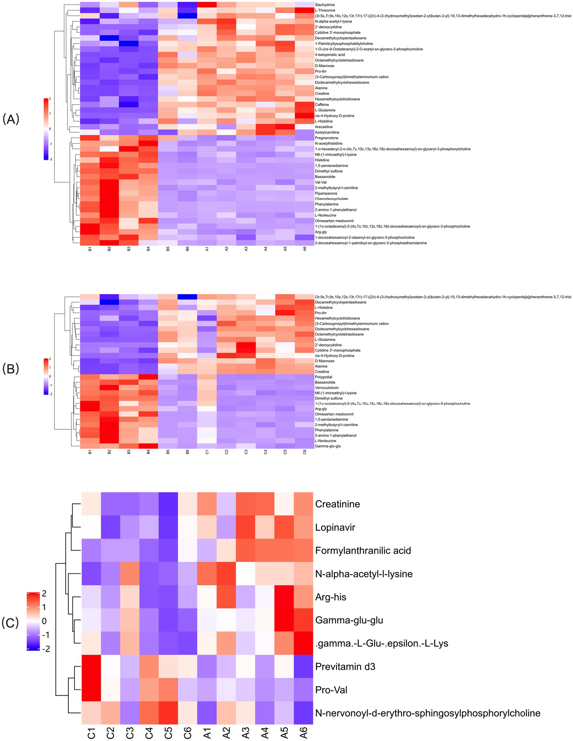 Heatmap panels (A), (B), and (C) display metabolite expression levels across different conditions. Rows represent metabolites, with color indicating expression levels: red for high and blue for low. Dendrograms show hierarchical clustering, highlighting relationships among samples and metabolites. Panel (A) and (B) lists more metabolites compared to (C), which includes creatinine and lopinavir. Panel (C) focuses on specific conditions labeled C1 to C6 and A1 to A6. Color bars on the left indicate the scale of expression changes.