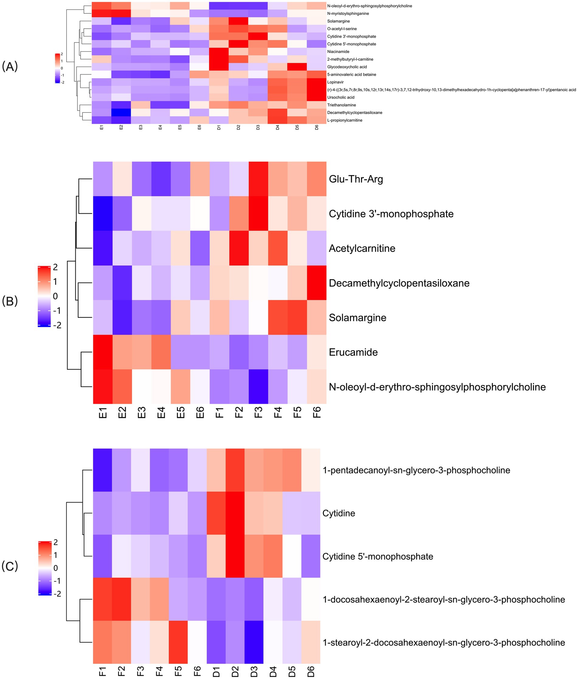 Three clustered heatmaps (A, B, C) illustrate metabolite expression levels, with colors from blue to red representing low to high expression. Rows label metabolites like Glu-Thr-Arg and cytidine, while columns denote sample identifiers. Each heatmap is scaled from -2 to 2.
