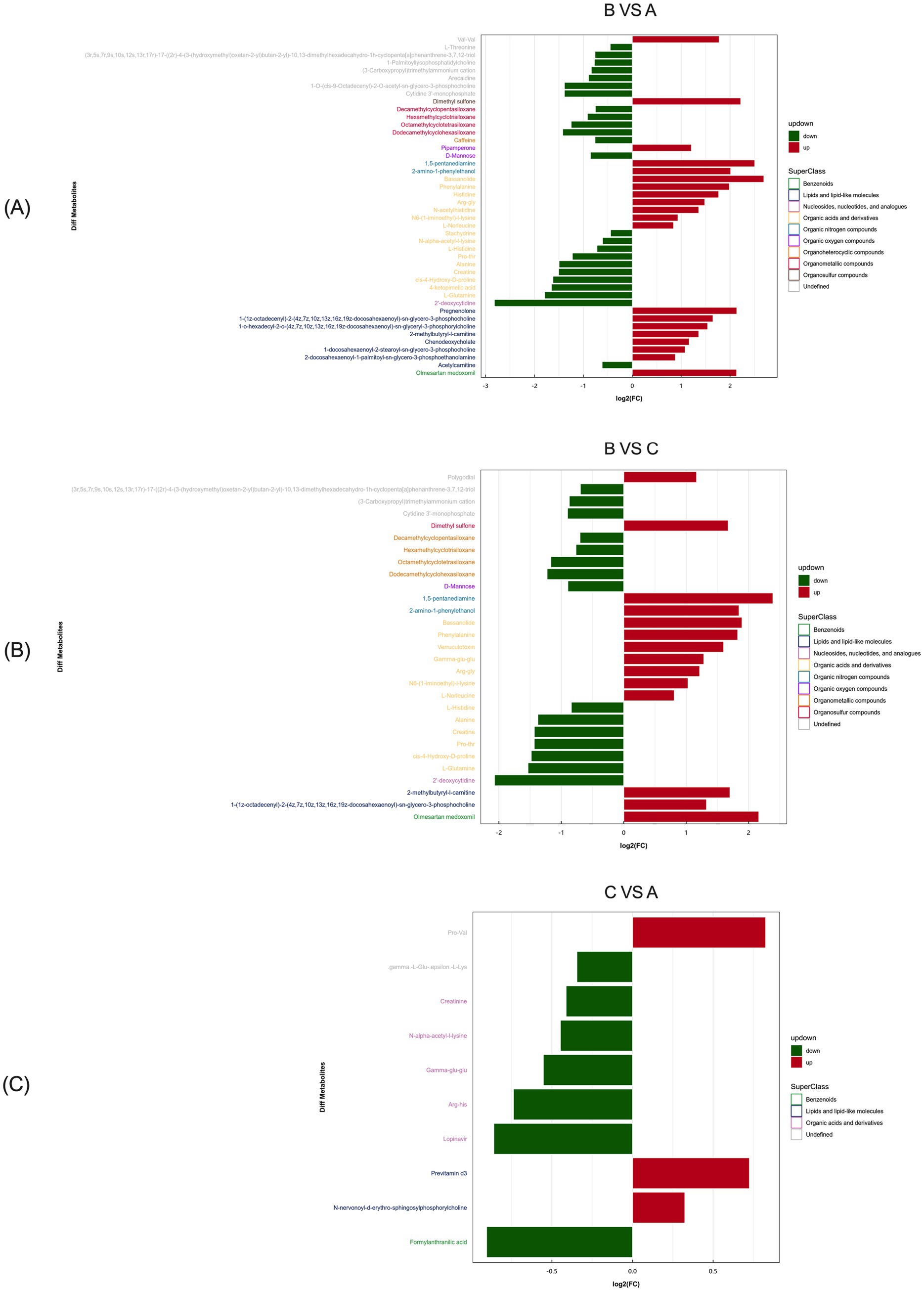 Three bar graphs comparing metabolite changes. (A) B vs. A shows upregulated (red) and downregulated (green) metabolites with various superclass categories including benzeneoids and organic acids. (B) B vs. C depicts up and down metabolites with similar superclasses. (C) C vs. A highlights shifts in specific metabolites with corresponding colors denoting changes, and superclass categories listed.