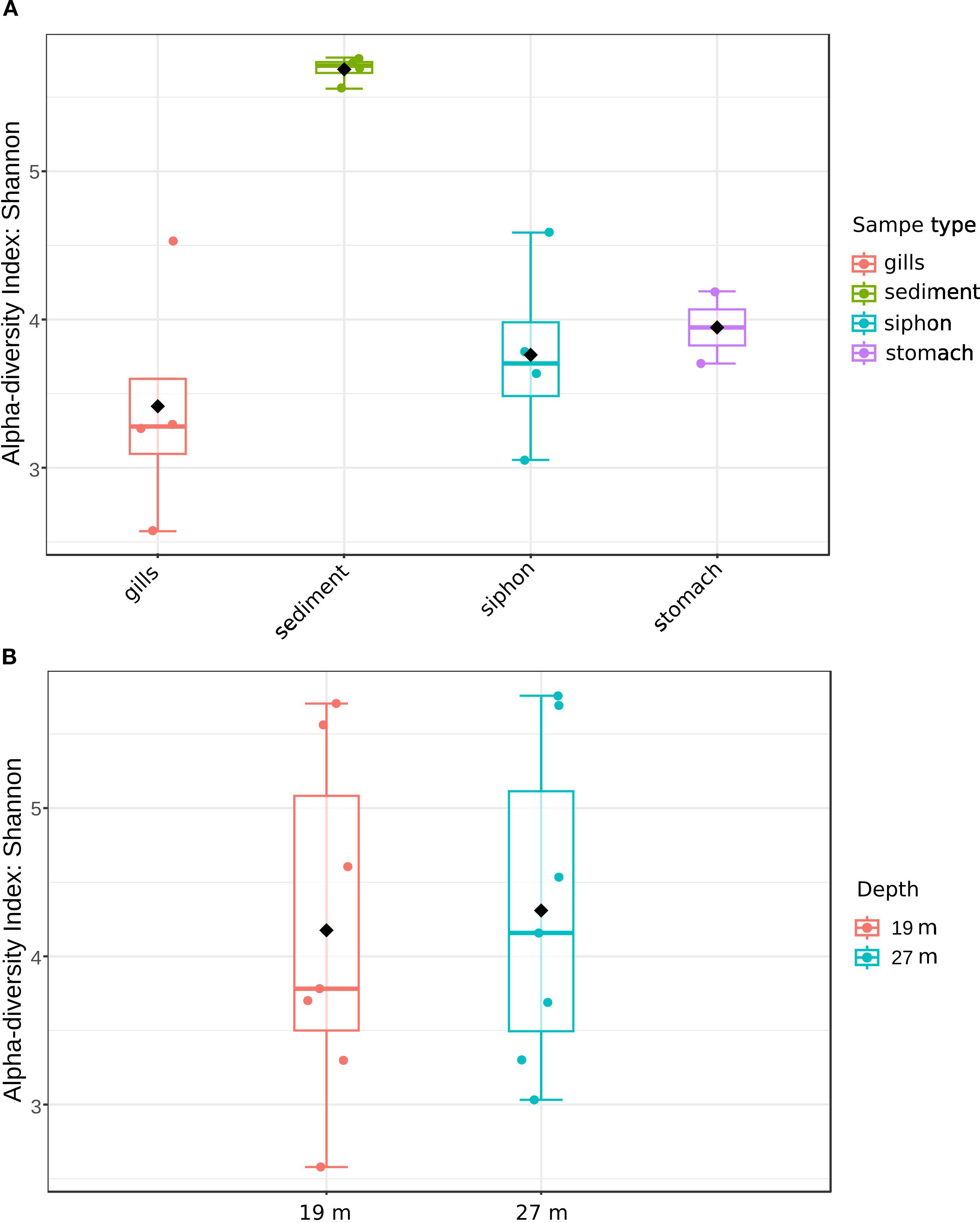 Box plots comparing the Shannon alpha-diversity index. Panel A shows diversity in sample types: gills, sediment, siphon, and stomach. Panel B shows diversity at depths of nineteen and twenty-seven meters. Median values are indicated with black diamonds.