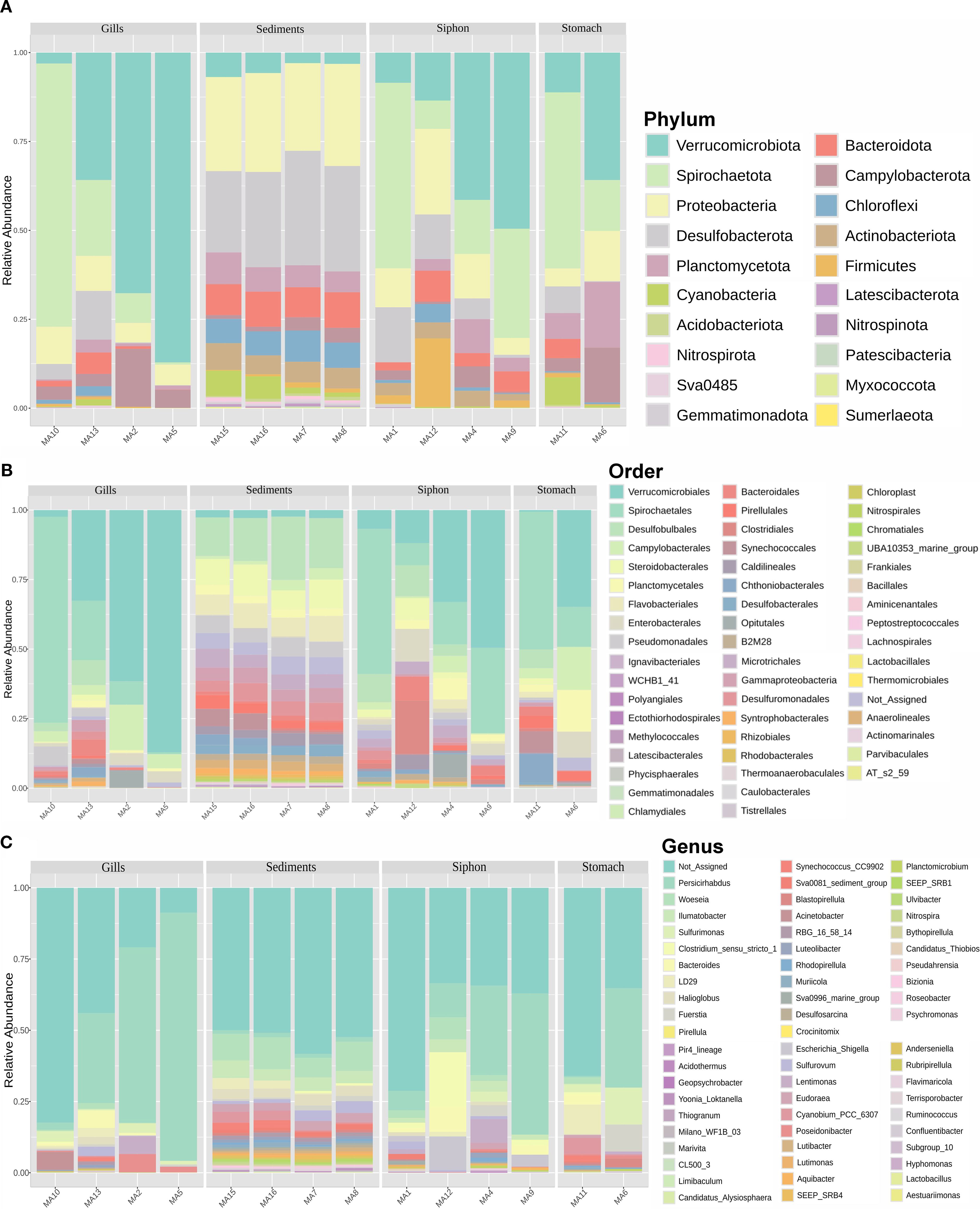 Stacked bar charts showing relative abundance of different bacterial taxa across gills, sediments, siphon, and stomach samples. Chart A displays phylum-level data, Chart B shows order-level data, and Chart C illustrates genus-level data. Each chart uses distinct colors to represent different taxa, with legends provided for each taxonomic level.