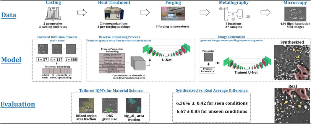 Flowchart illustrating a material science study. The data section includes casting, heat treatment, forging, metallography, and microscopy with specifics like geometries and conditions. The model section shows forward diffusion and reverse denoising processes, utilizing U-Net for image generation. The evaluation section depicts synthetic versus real image comparisons, detailing microstructural features such as DRX region and grain size. Average differences between synthesized and real images are noted for seen and unseen conditions.