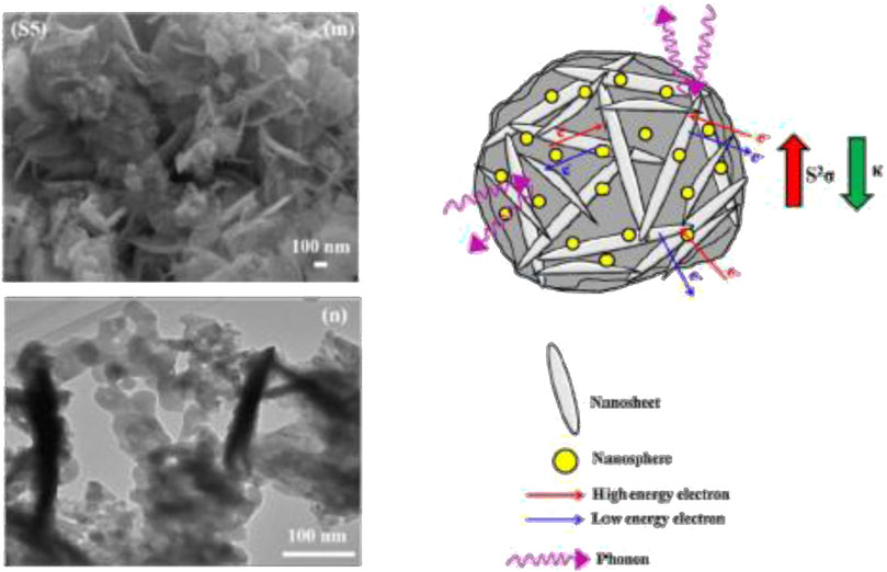 Electron microscope images and a schematic diagram illustrate a nanostructure. The images show a dense, irregular arrangement of nanosheets. The schematic depicts a spherical formation of nanosheets and nanospheres with colored arrows representing high-energy electrons, low-energy electrons, and phonons. The diagram includes labels and a scale marker of 100 nanometers.