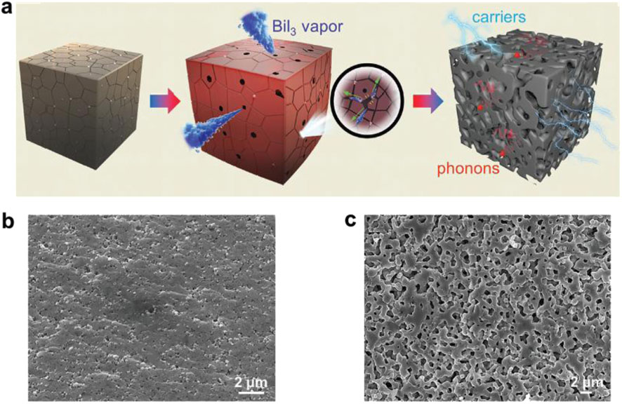 A three-part image illustrates a transformation process. Part (a) shows a conceptual diagram of a cube undergoing changes. Initially, a solid cube absorbs BiI₃ vapor, shown with blue arrows, transforming into a porous cube with flows of carriers and phonons. Parts (b) and (c) are electron microscope images showing surface textures before and after transformation, with (b) being smoother and (c) more porous. Each image includes a scale bar of 2 micrometers.