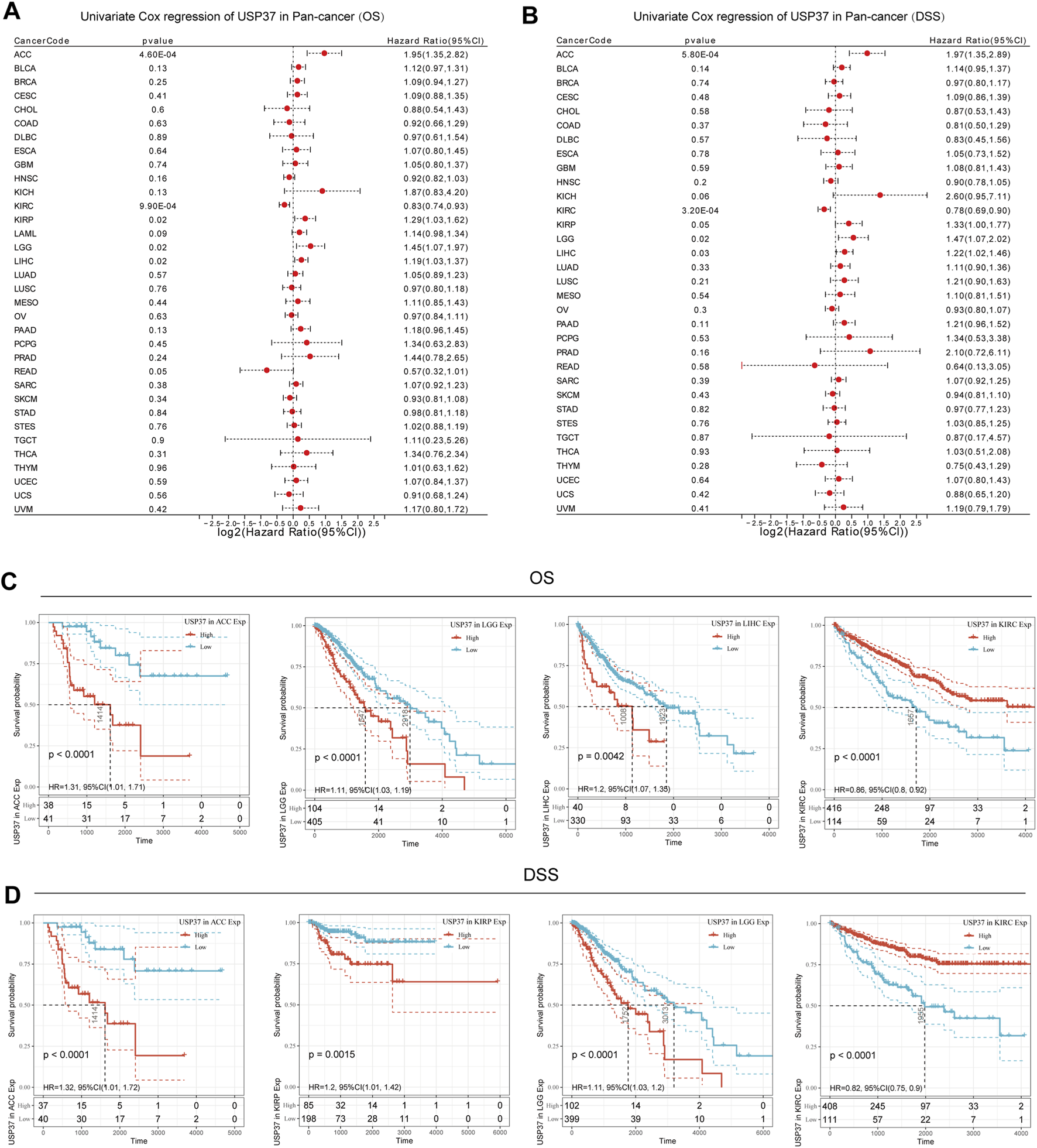 Forest plots and Kaplan-Meier survival curves analyze the impact of USP37 expression on cancer outcomes. Panels A and B present univariate Cox regression analyses for overall survival (OS) and disease-specific survival (DSS) across various cancers, showing hazard ratios and p-values. Panels C and D display survival probability curves for OS and DSS, comparing high and low USP37 expression groups in different cancer types, with p-values and hazard ratios noted.